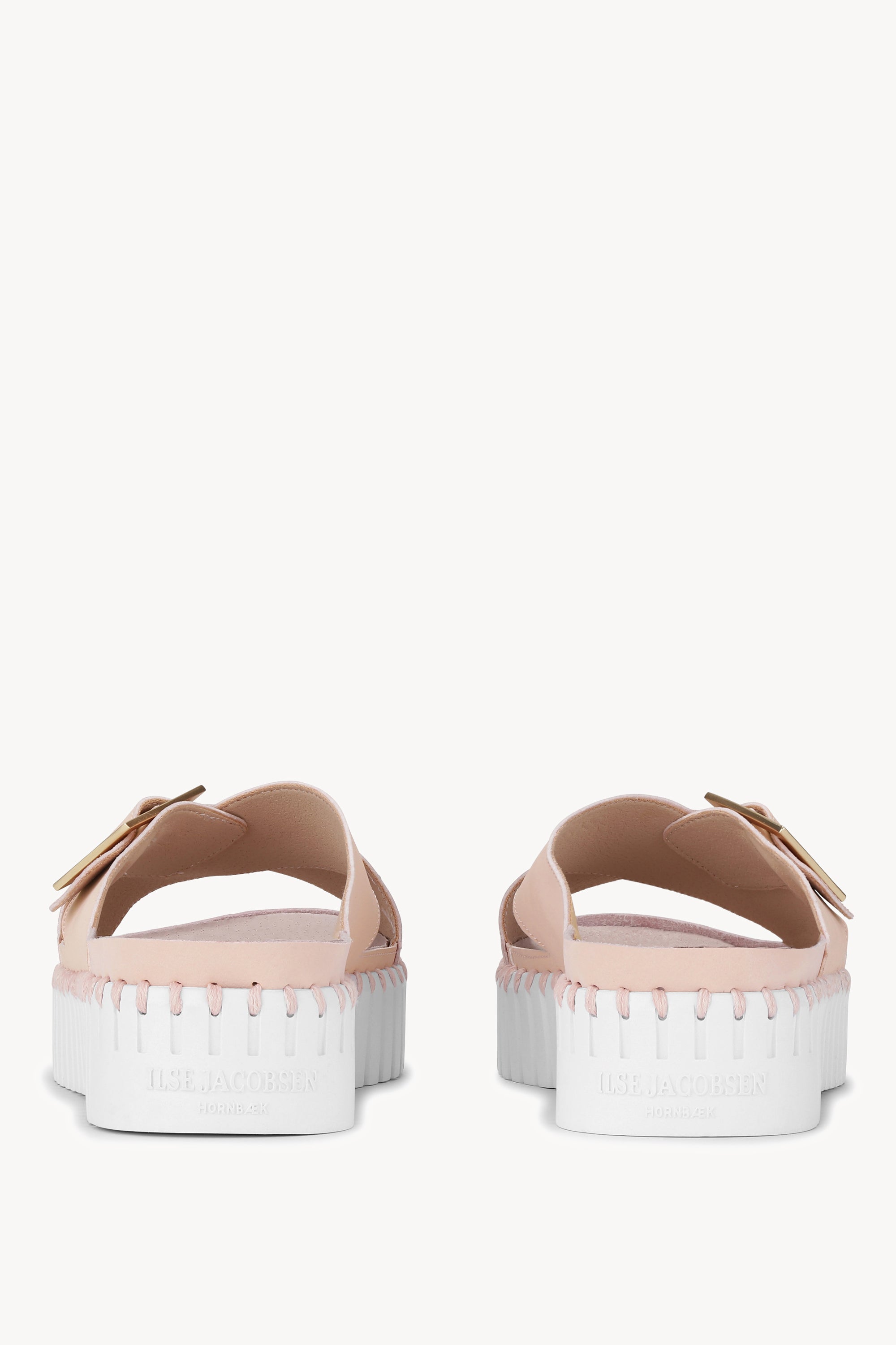 TULIP1033 ADOBE ROSE WHITE