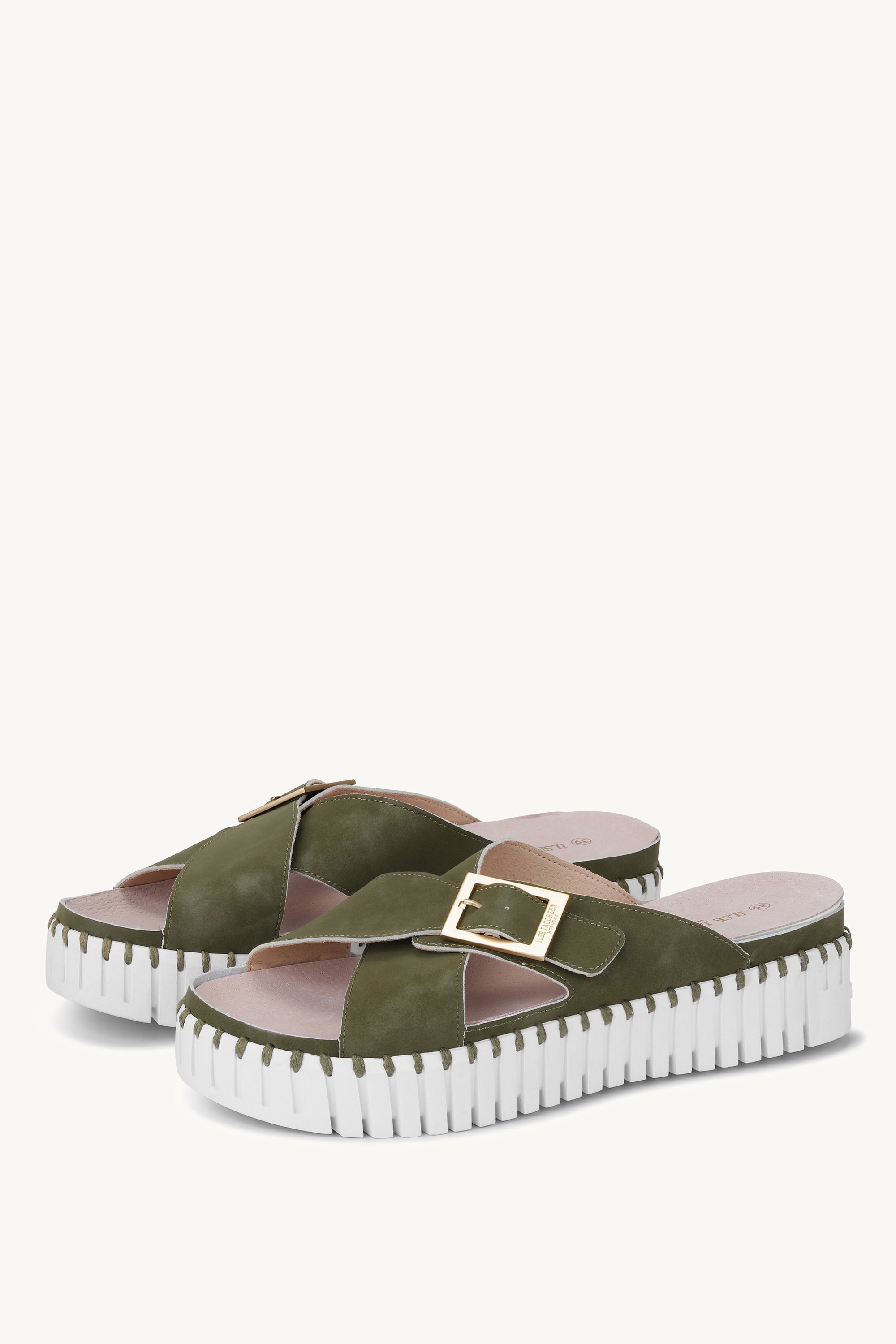 TULIP1033 ARMY WHITE