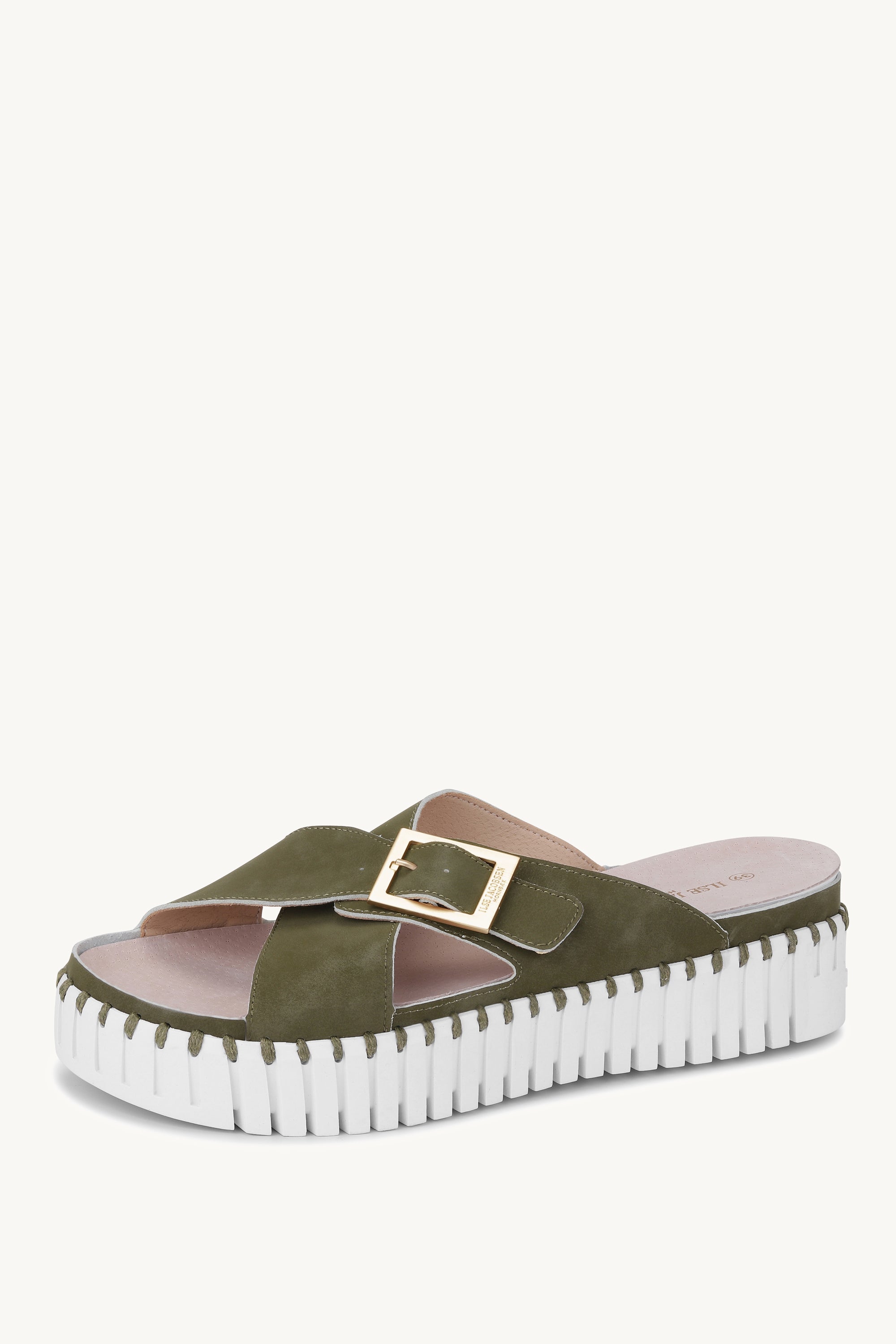 TULIP1033 ARMY WHITE