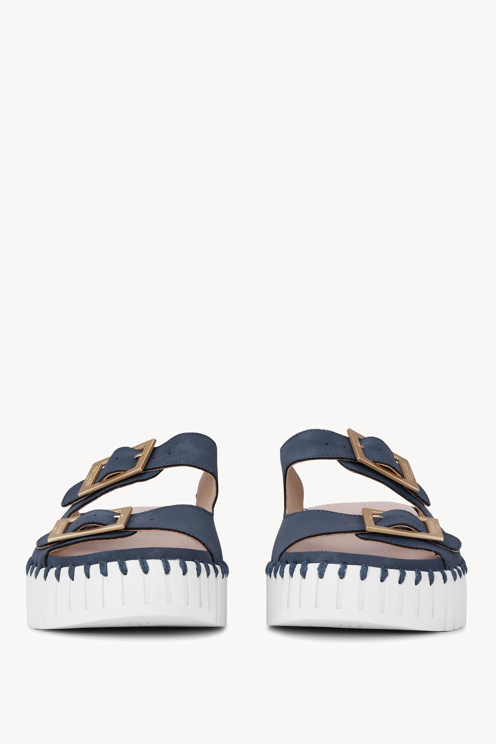 TULIP1037 BLUE GREYNESS WHITE