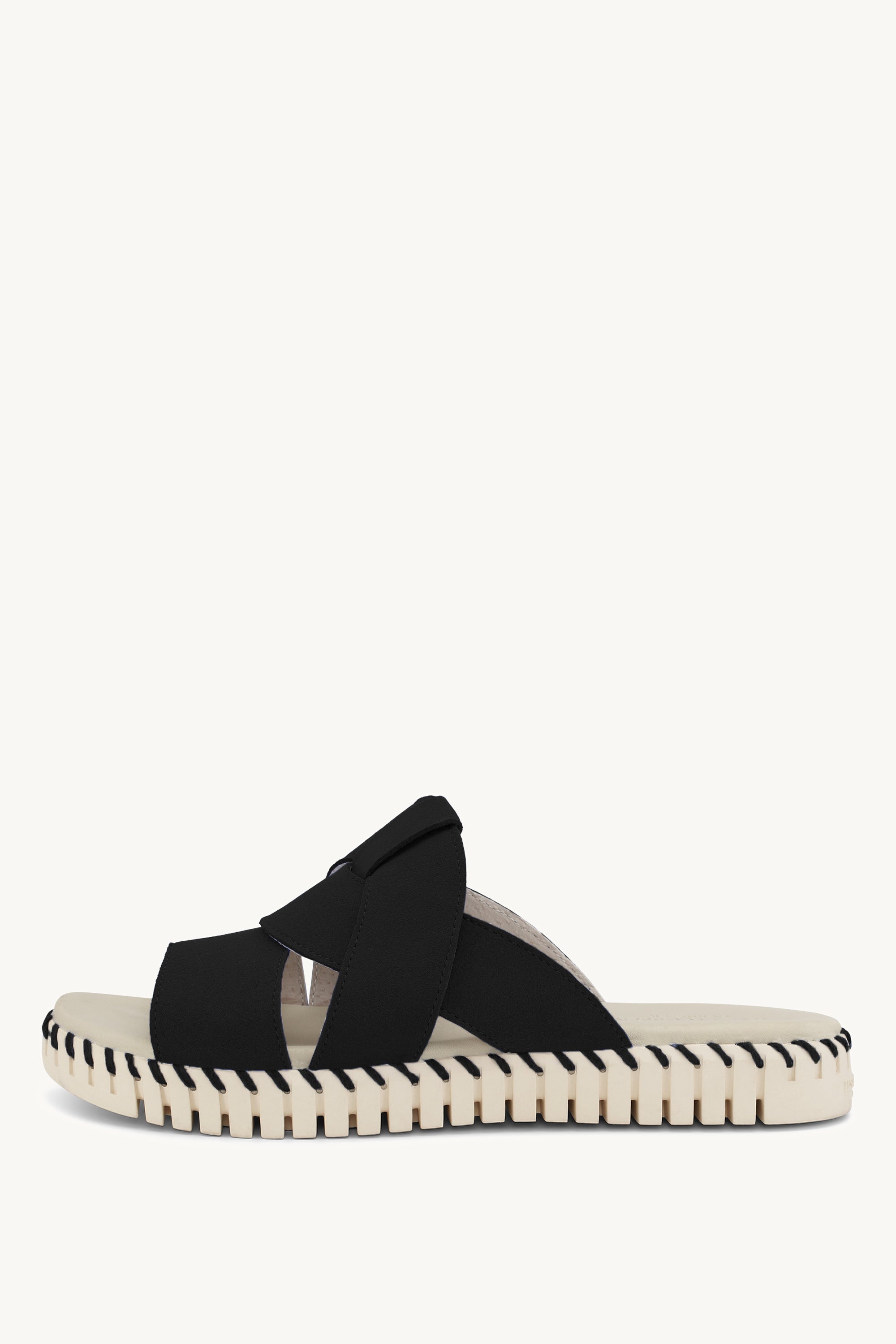 TULIP1265 BLACK