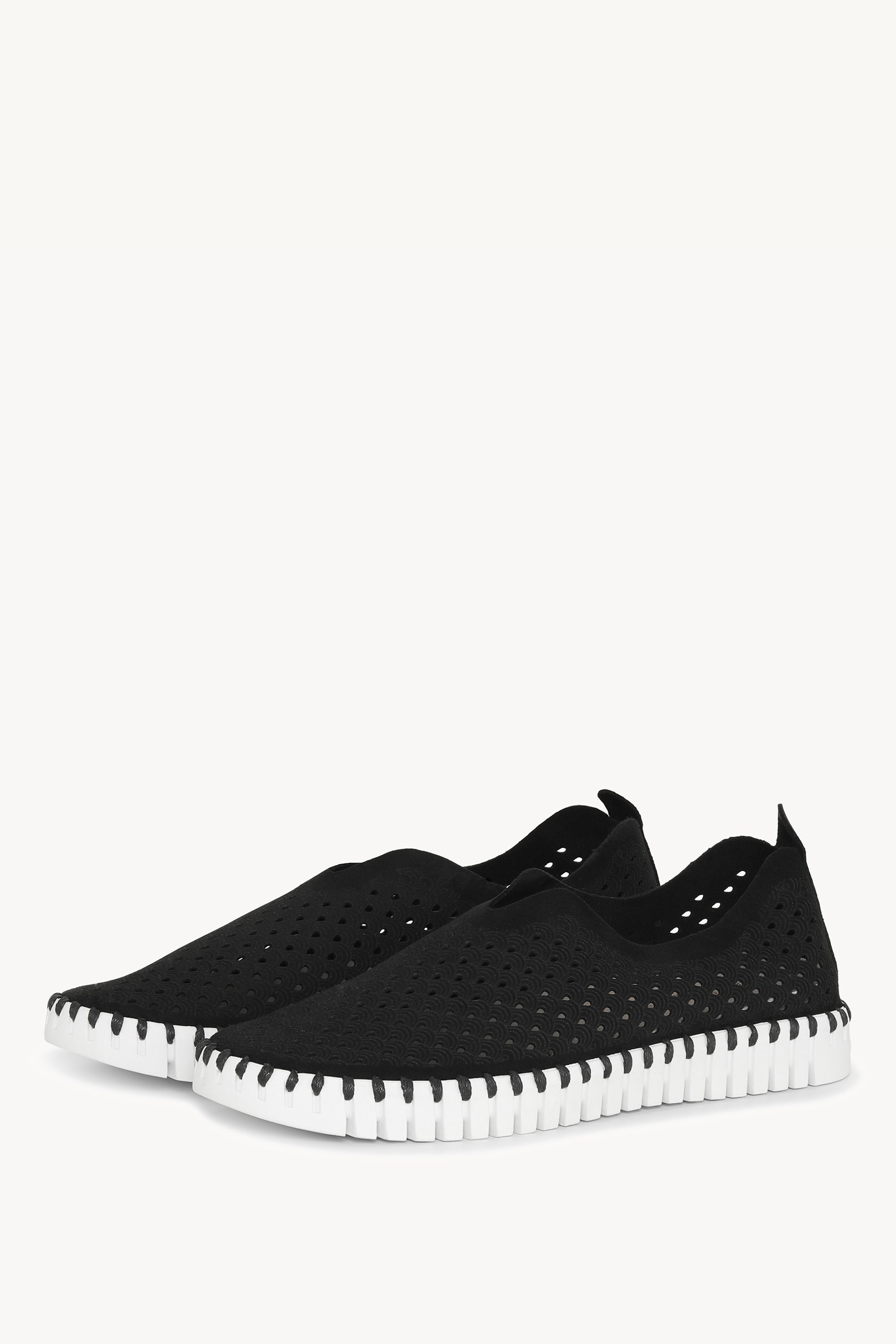 TULIP139 BLACK