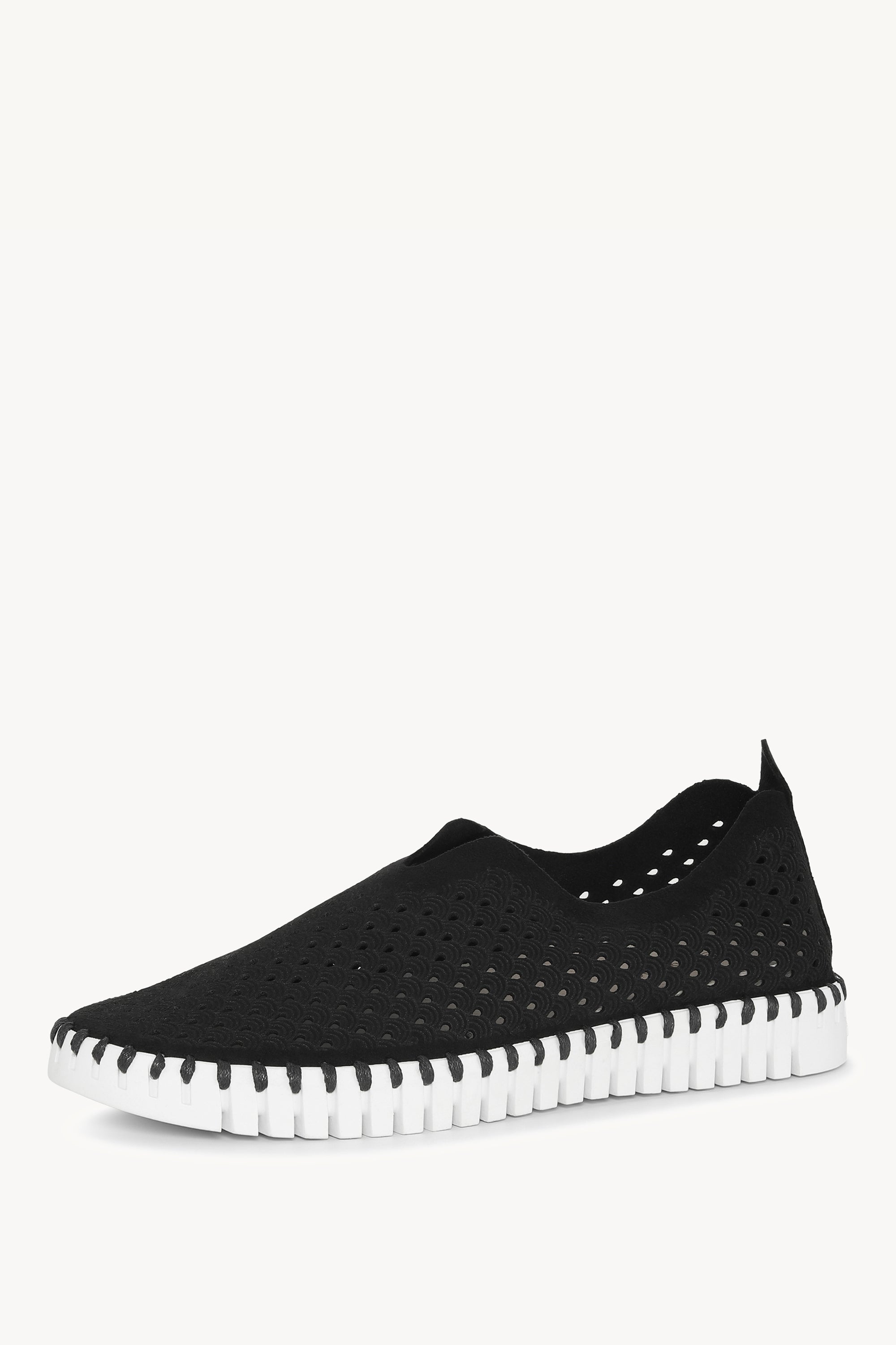 TULIP139 BLACK