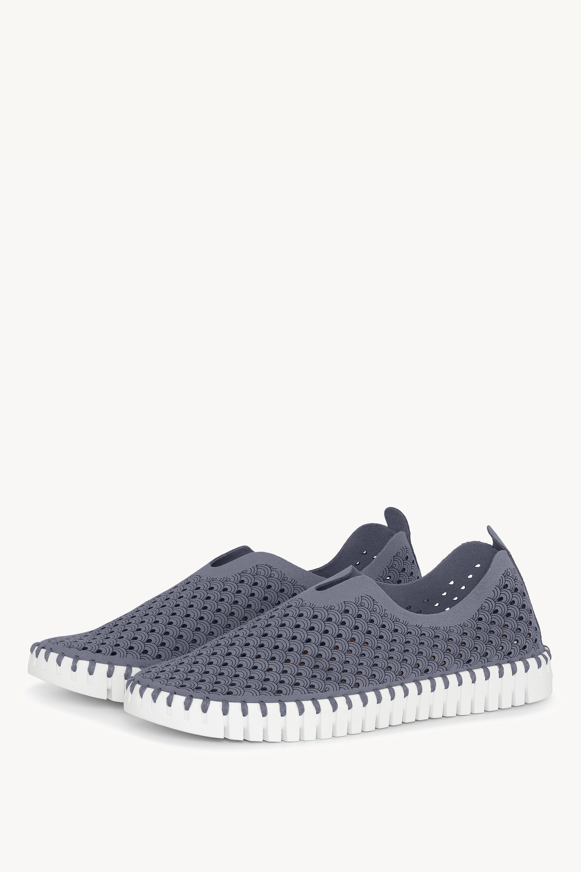 TULIP139 GREY BLUE