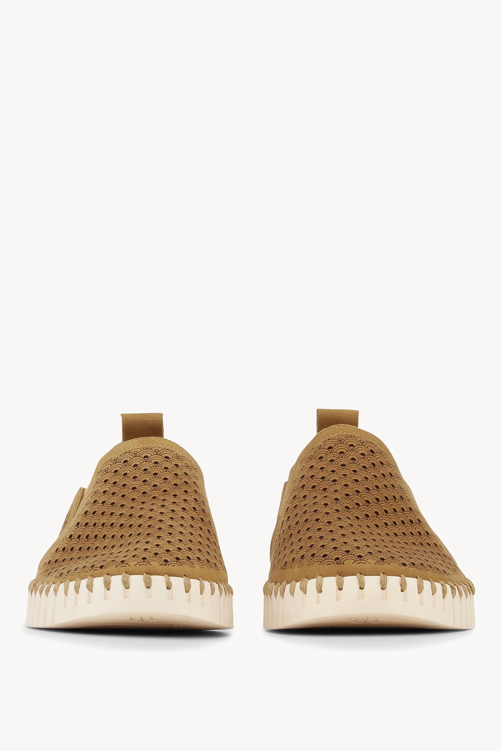 TULIP140MEN GOLDY PEARLED IVORY