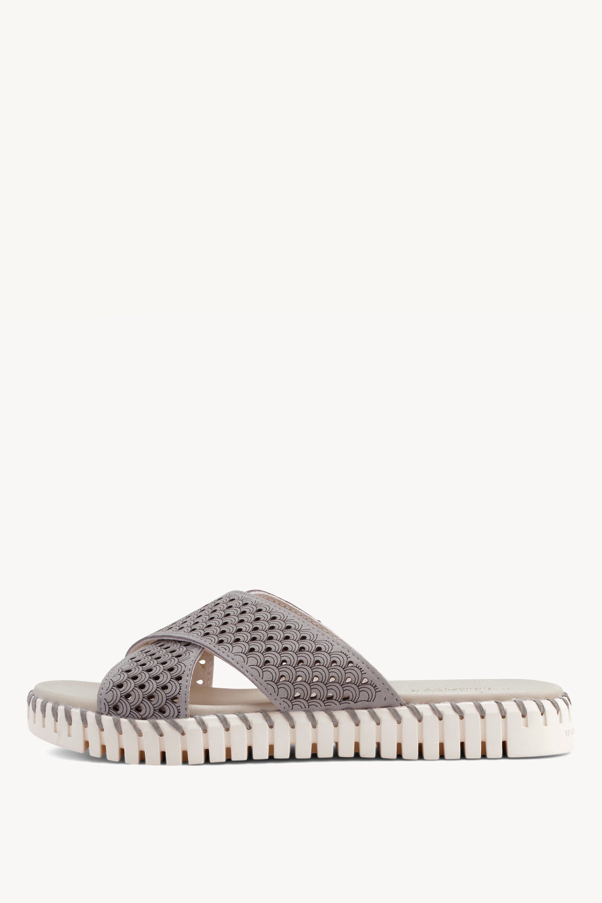 TULIP1575 GREY
