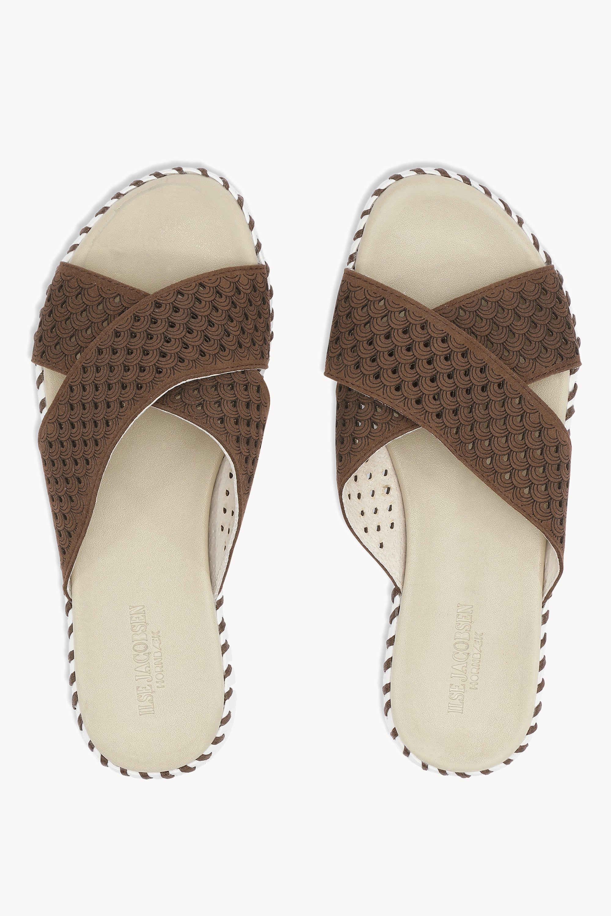 TULIP1575 BROWN