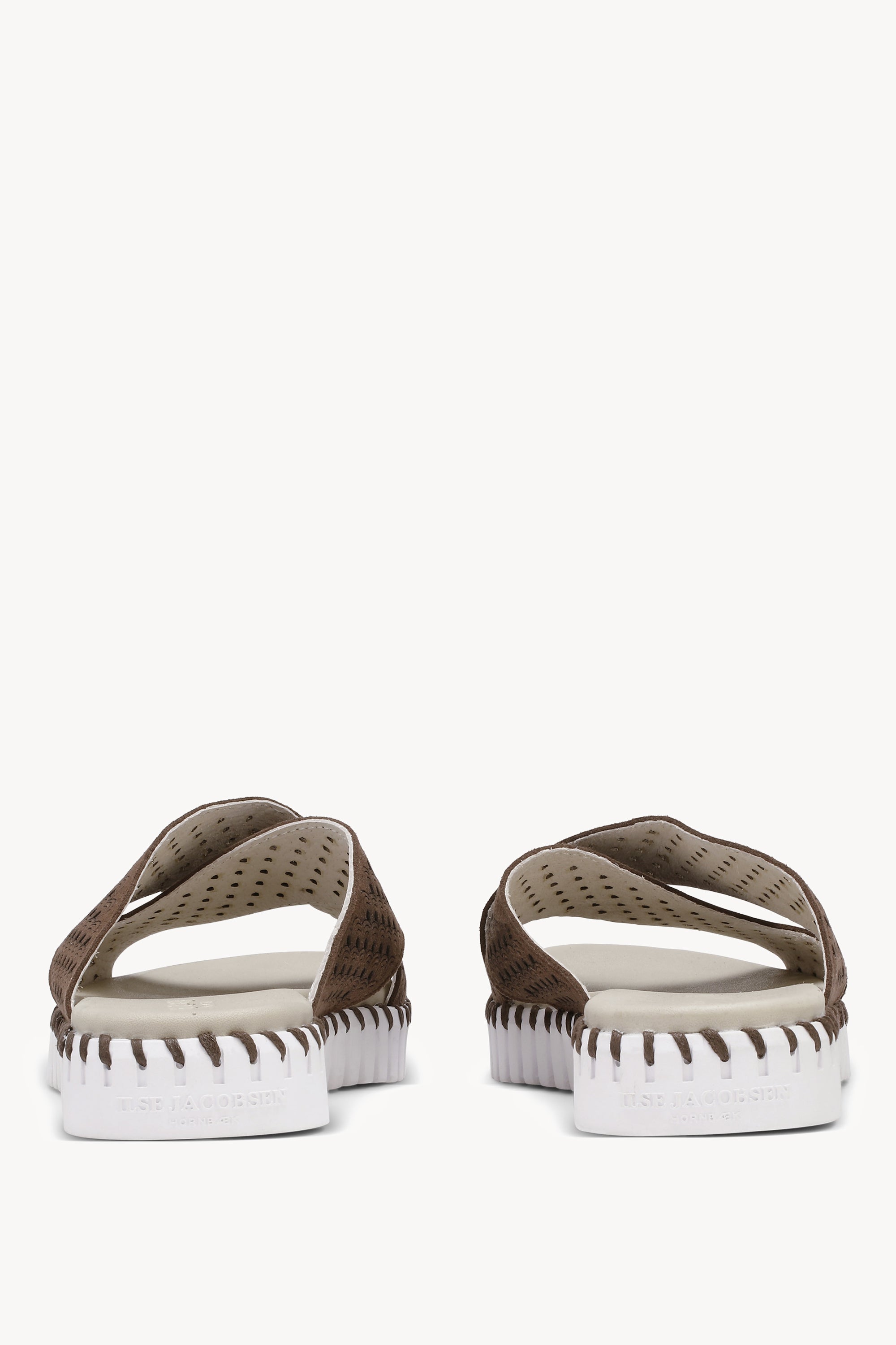 TULIP1575 BROWN