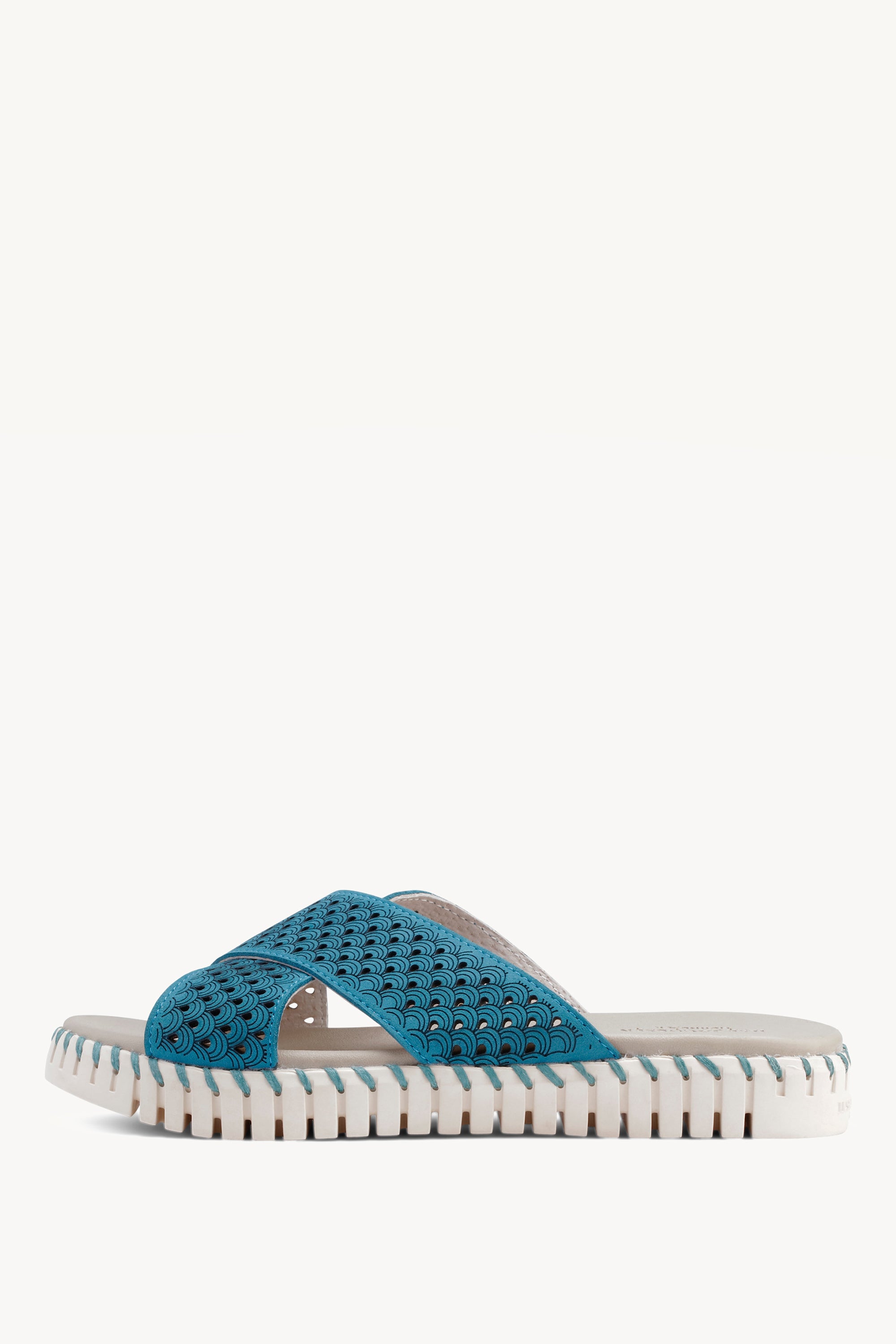 TULIP1575 ELECTRIC BLUE