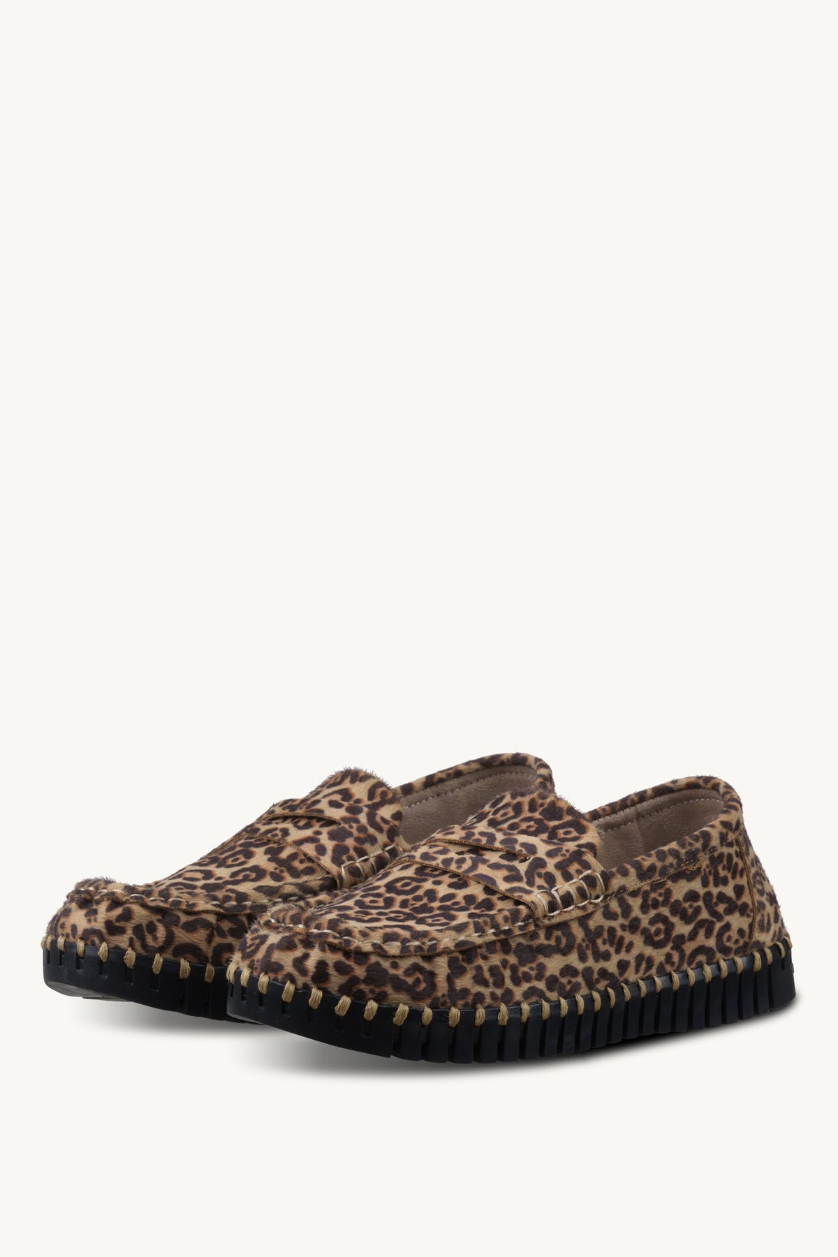 TULIP3222 ANIMAL BLACK