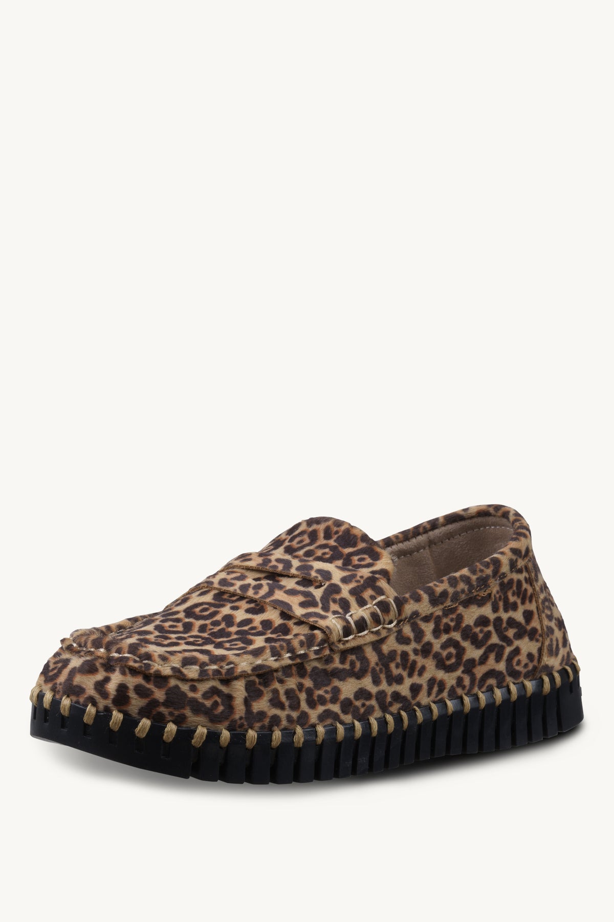 TULIP3222 ANIMAL BLACK