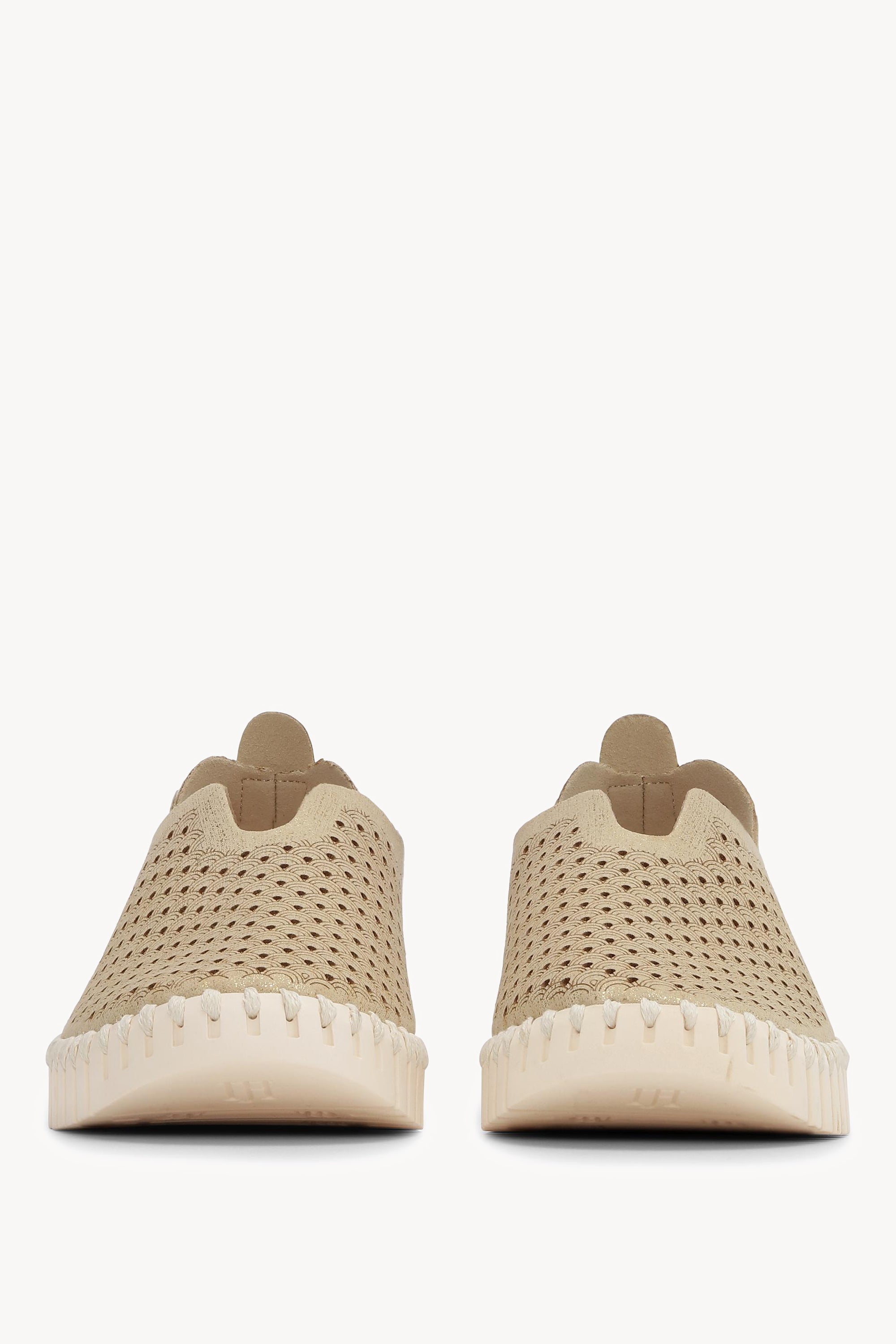 TULIP3223 PLATIN PEARLED IVORY