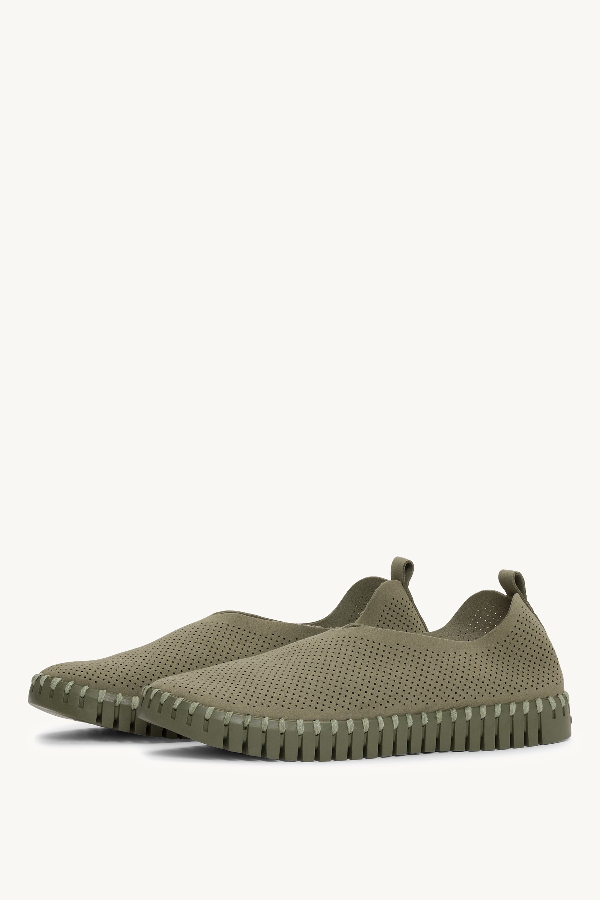 TULIP3272CB ARMY ARMY