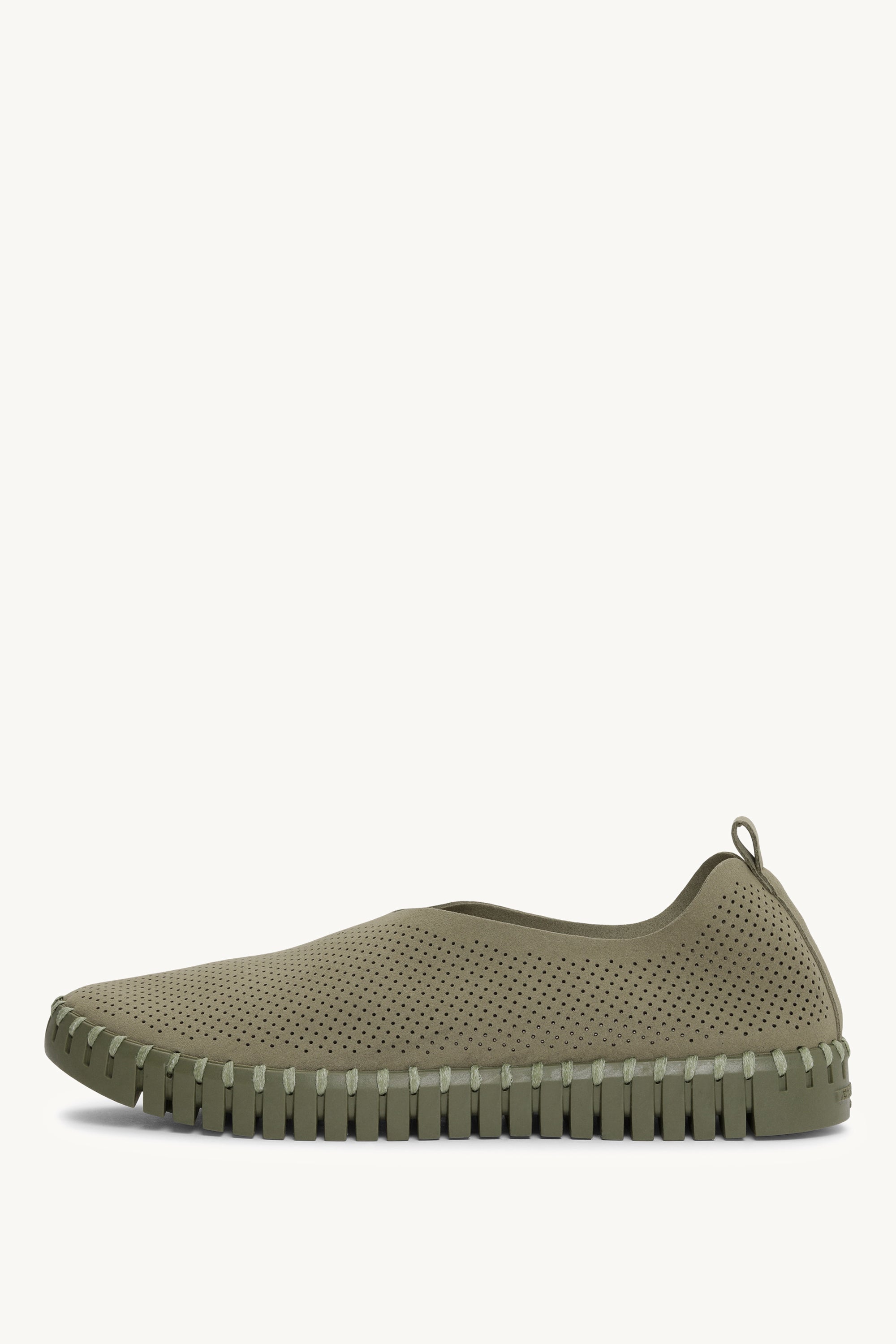 TULIP3272CB ARMY ARMY
