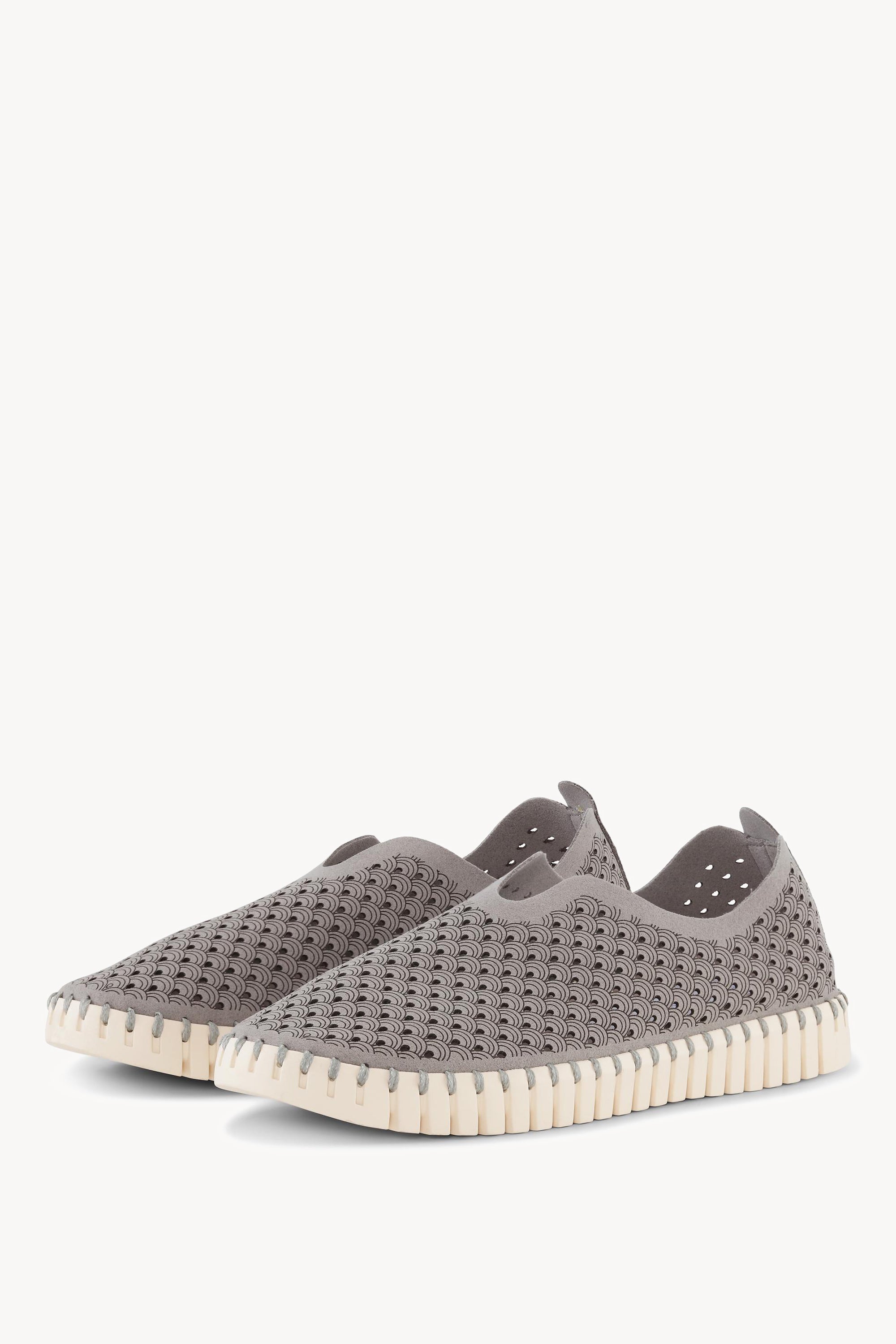 TULIP3275 GREY