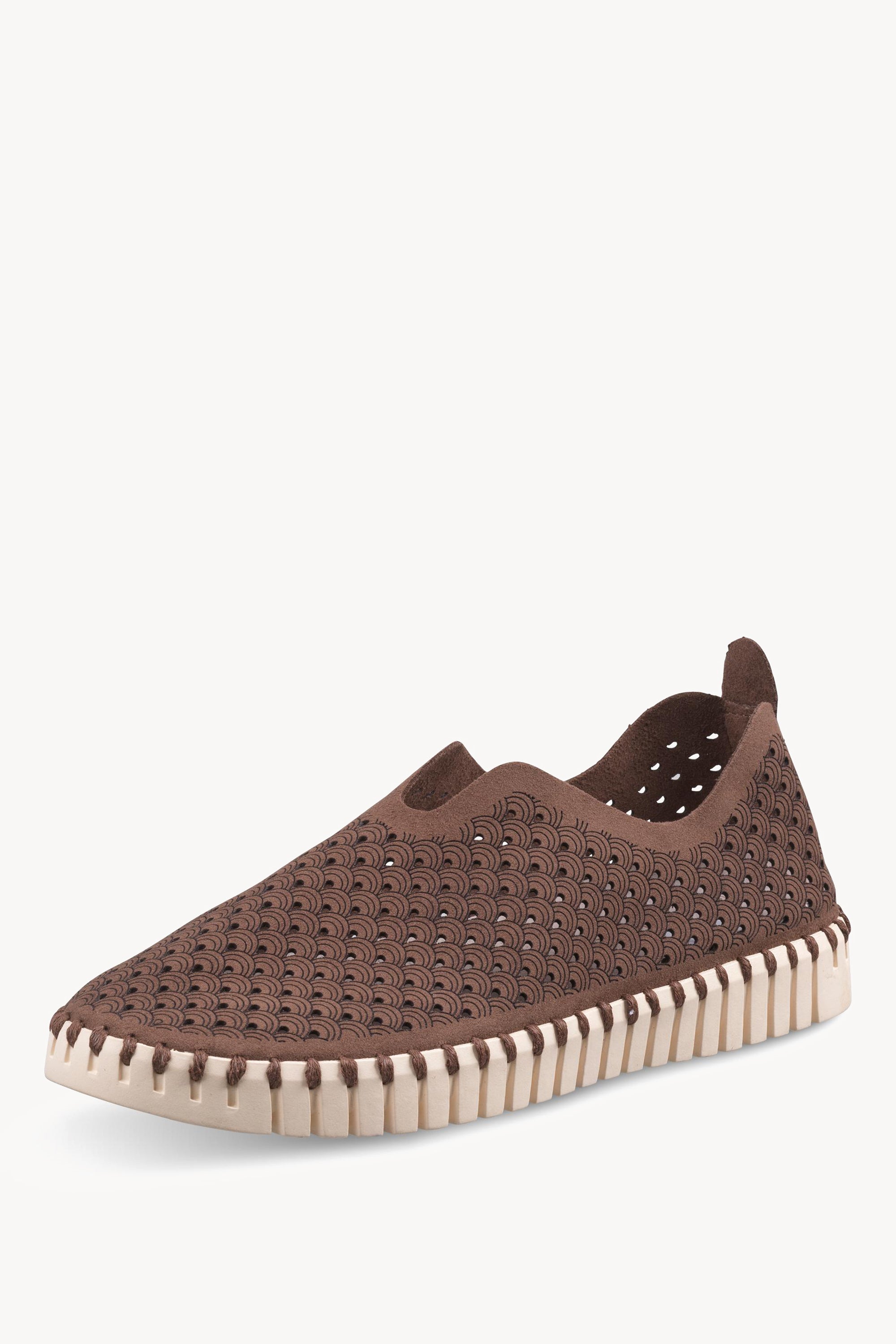 TULIP3275 BROWN