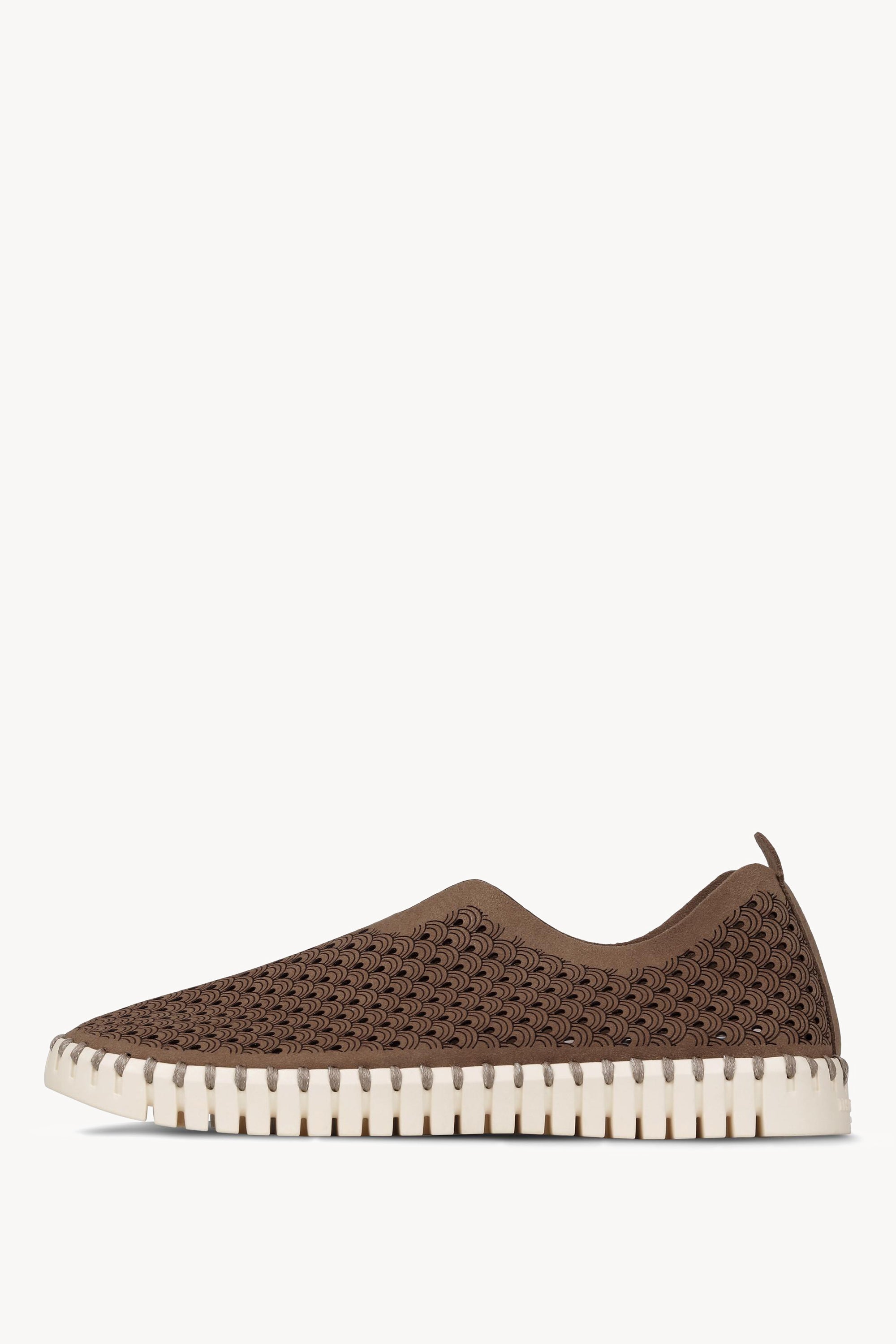 TULIP3275 MOCCA