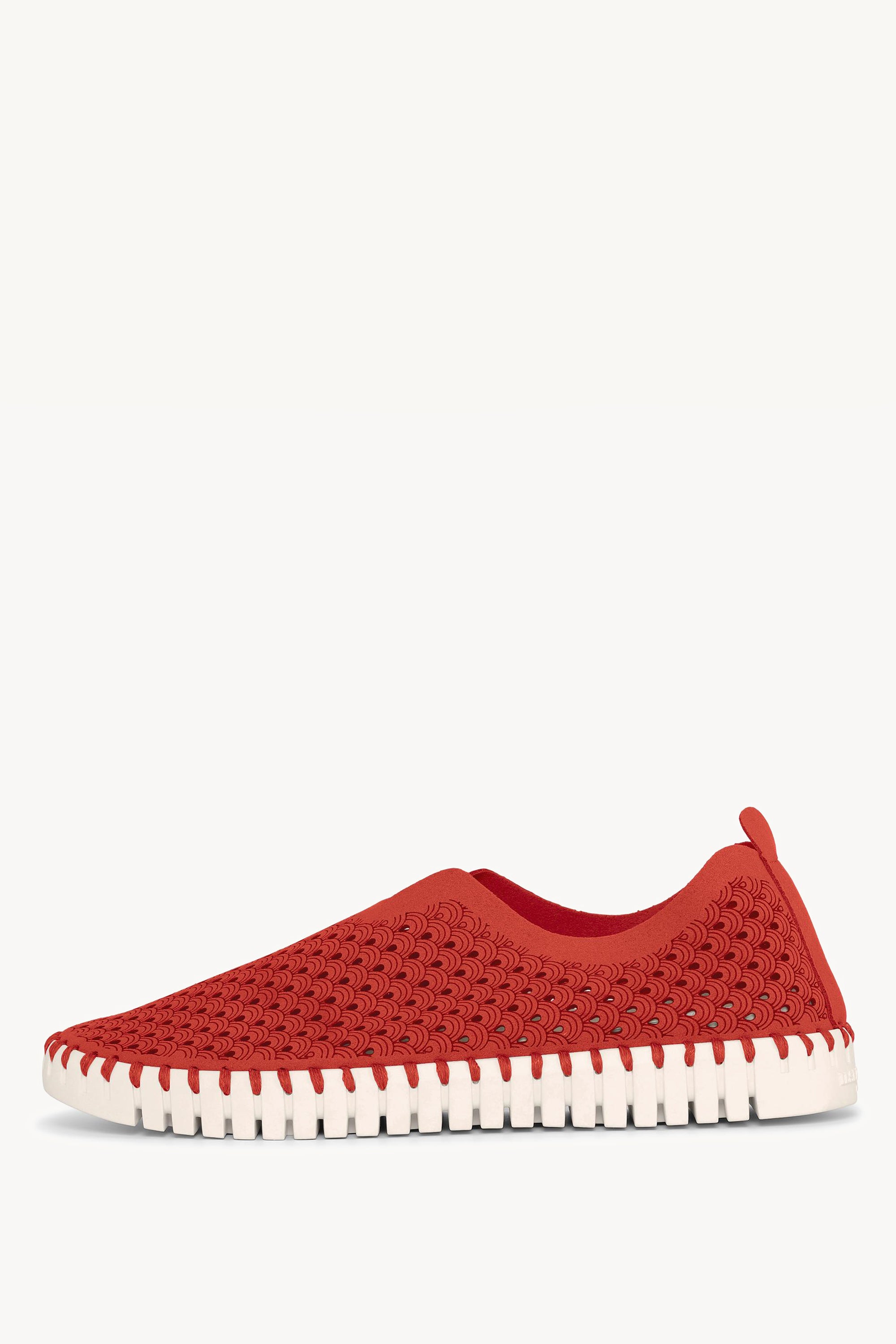 TULIP3275 RED