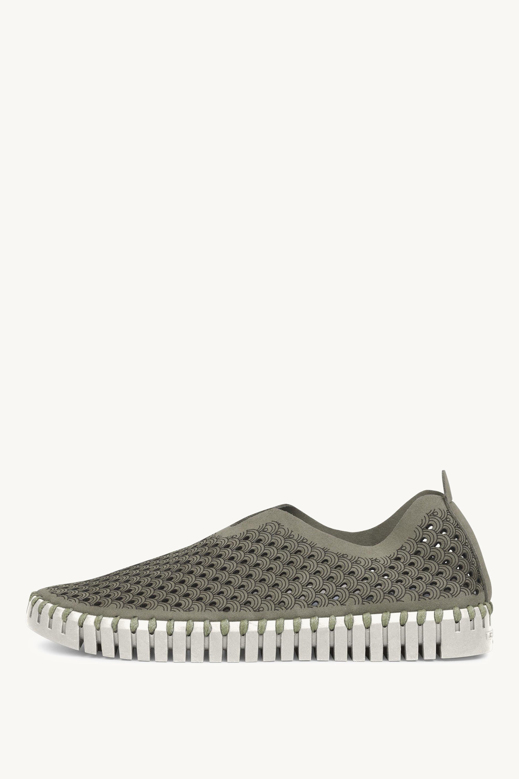 TULIP3275 ARMY