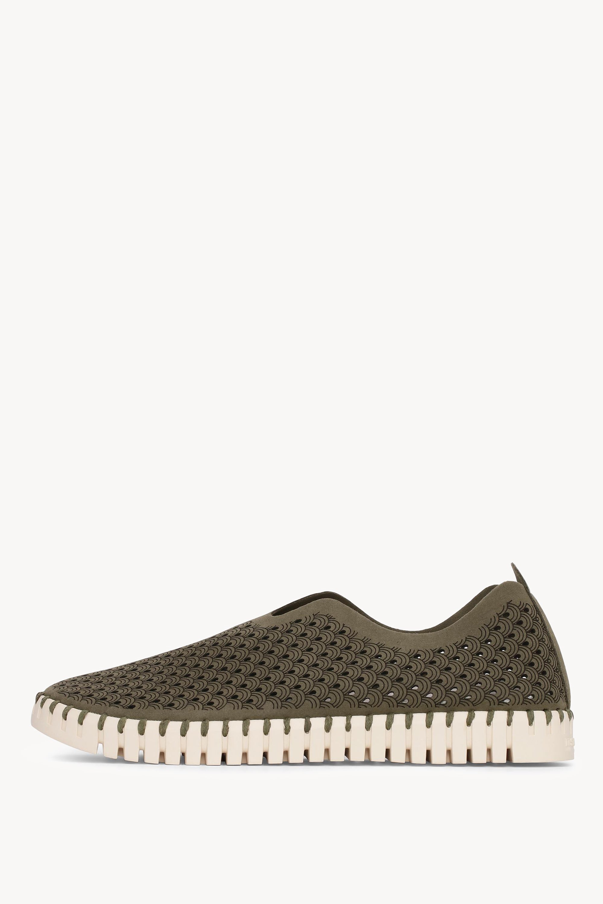 TULIP3275 DEEP OLIVE