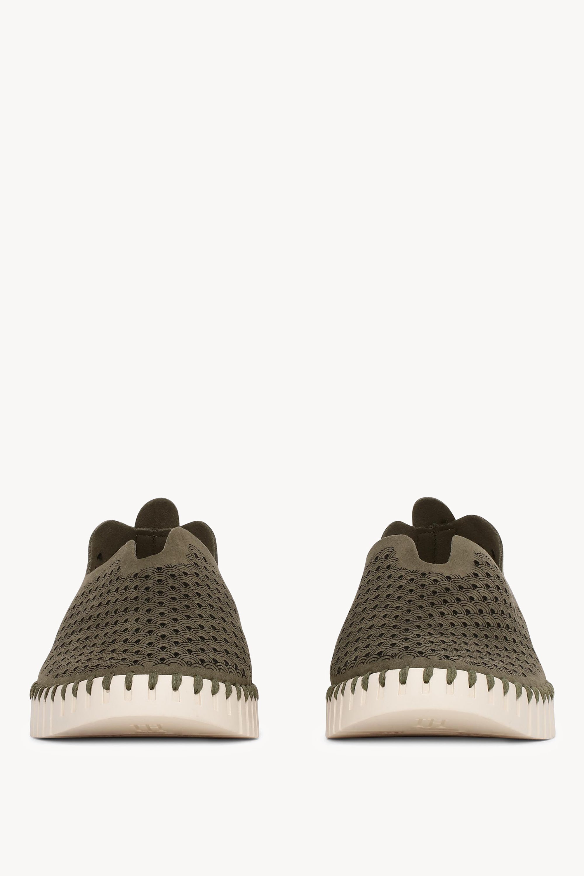 TULIP3275 DEEP OLIVE