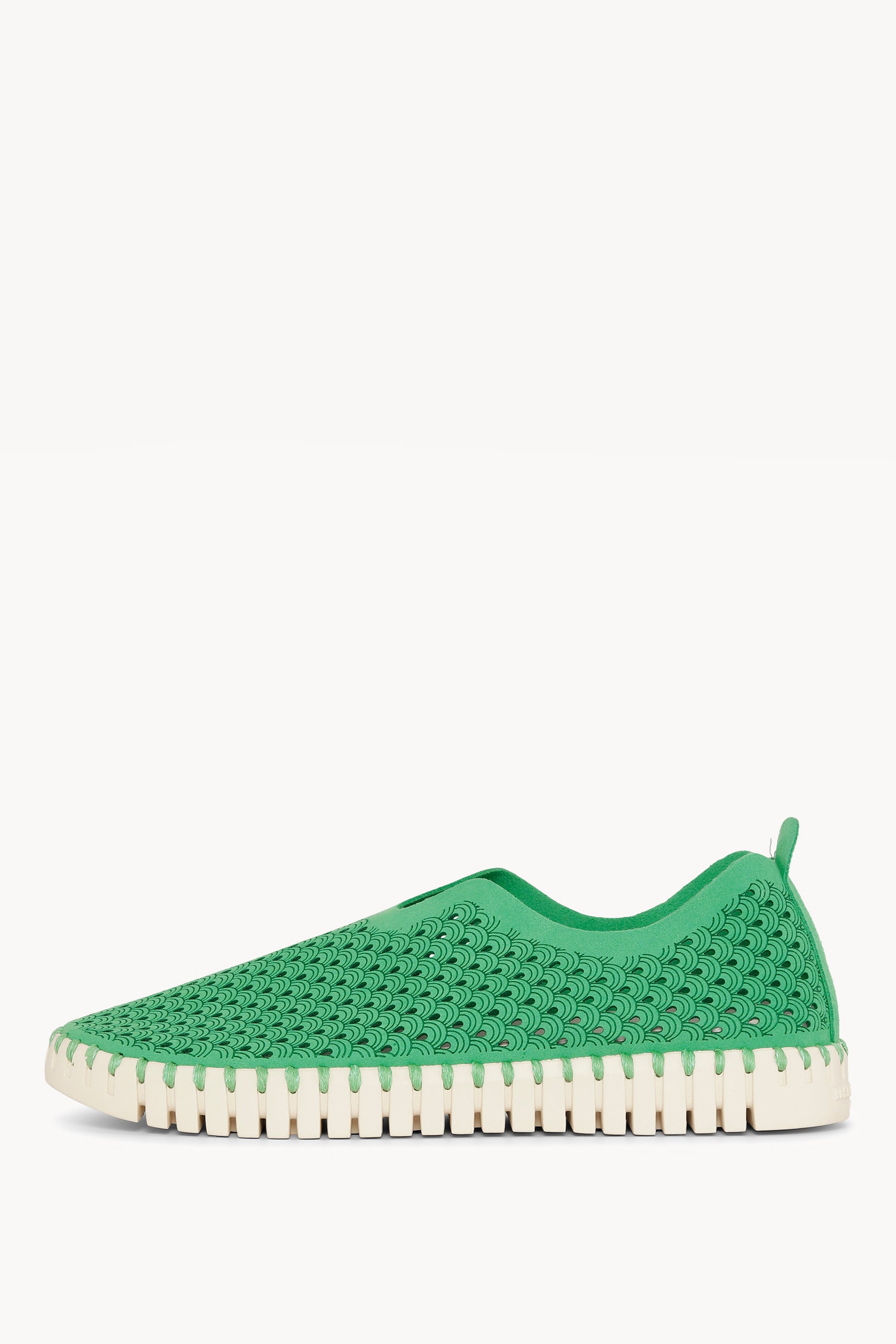 TULIP3275 FERN GREEN