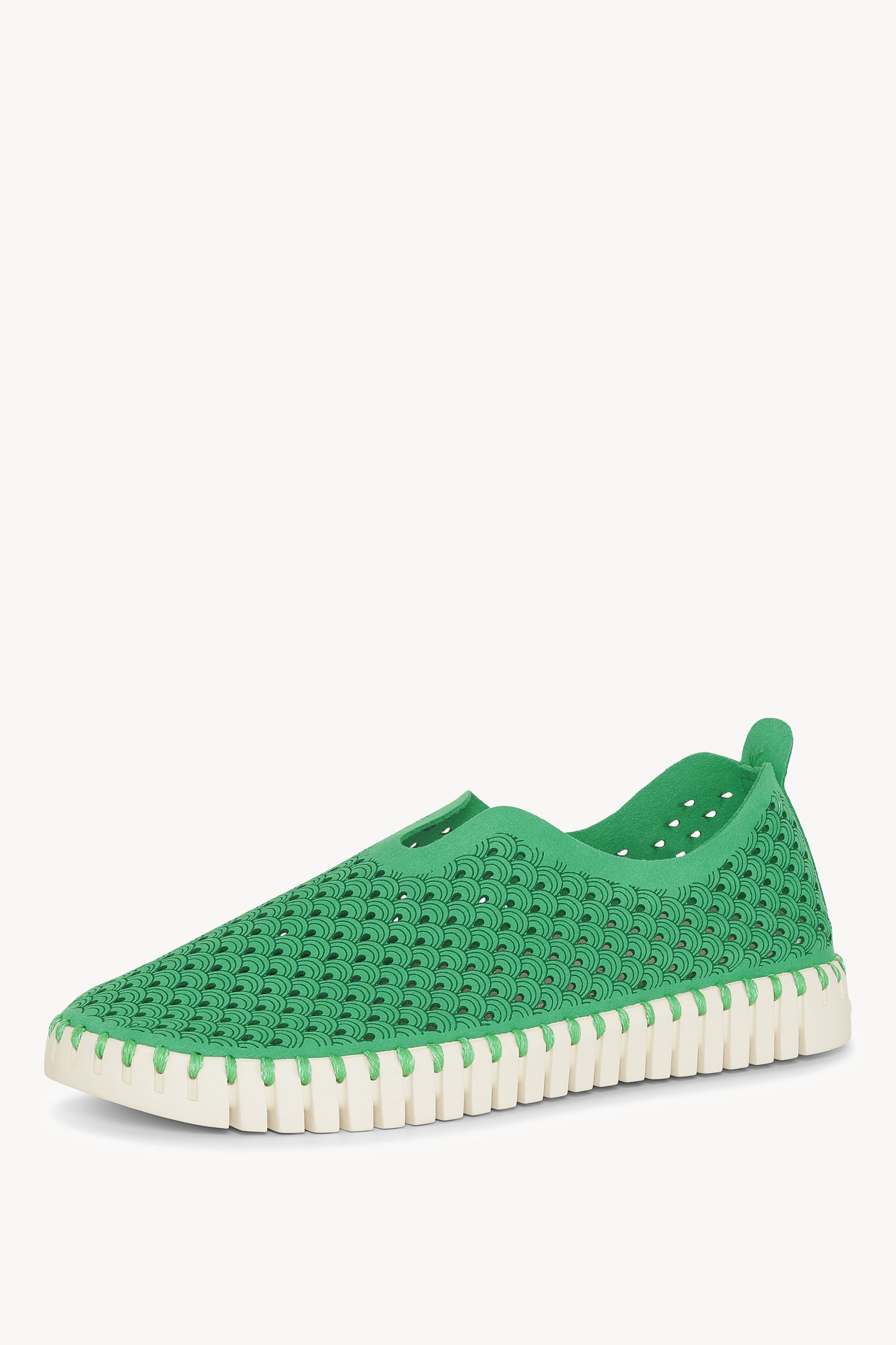 TULIP3275 FERN GREEN