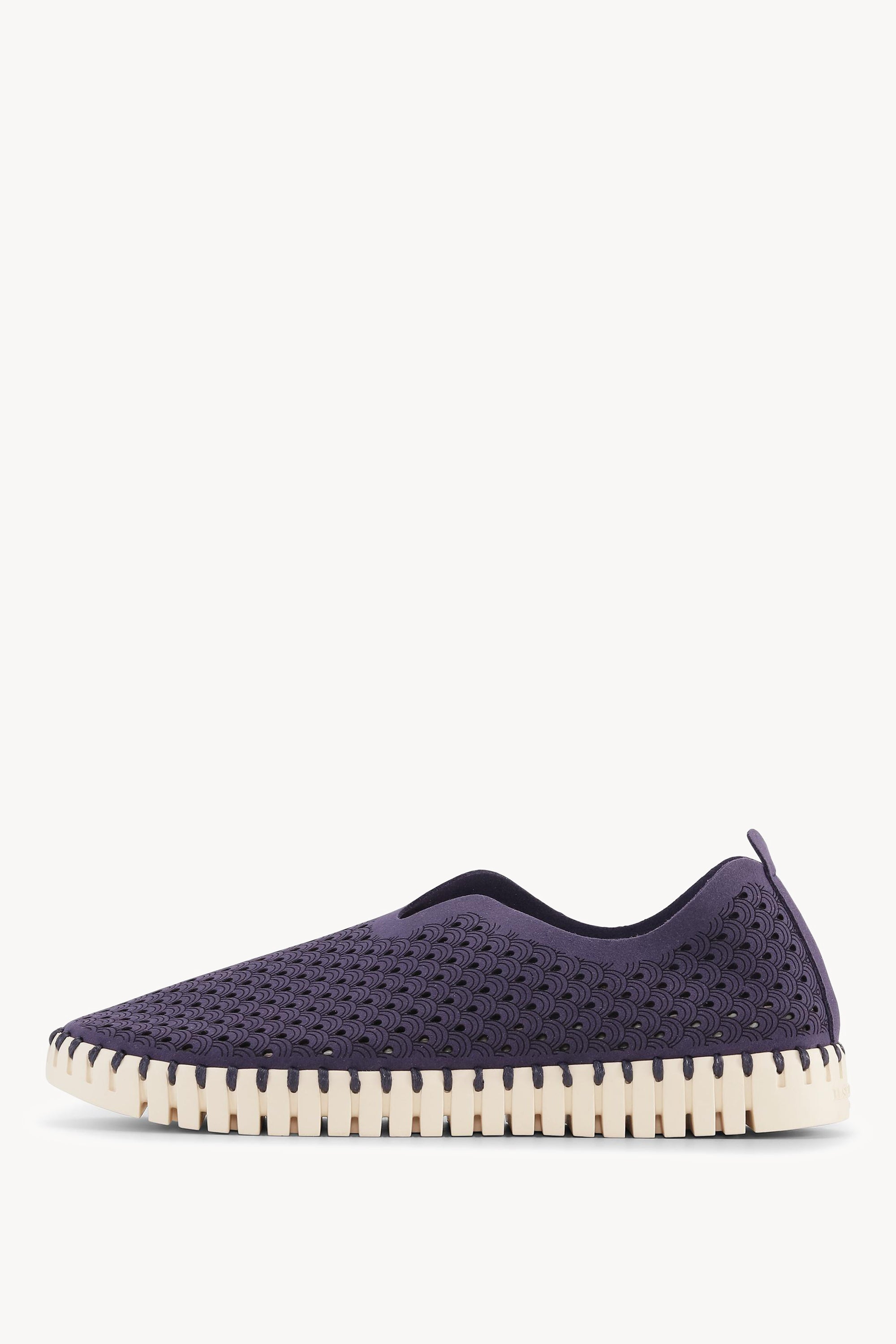 TULIP3275 NAVY