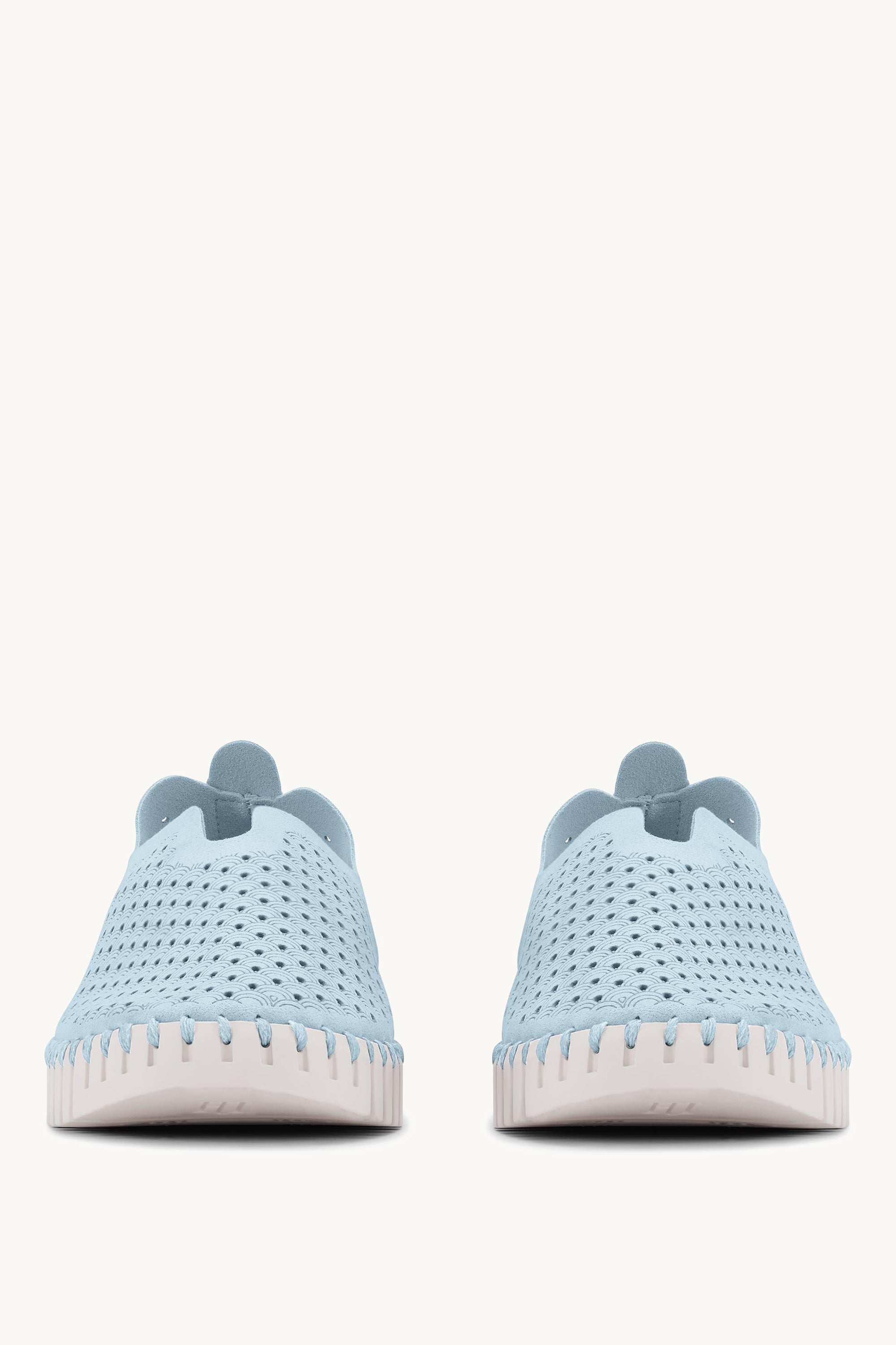TULIP3275 ASH BLUE