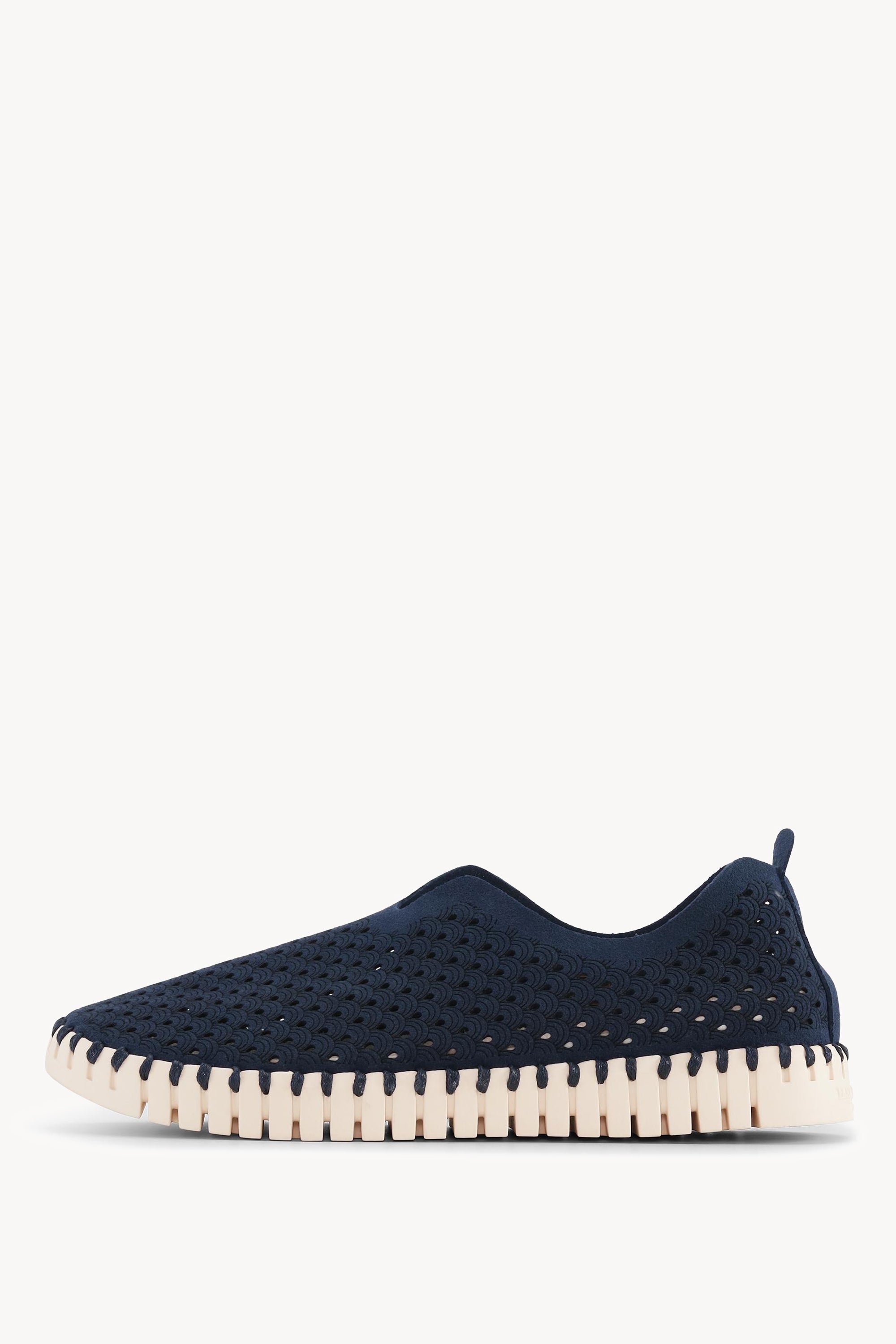 TULIP3275 DARK INDIGO
