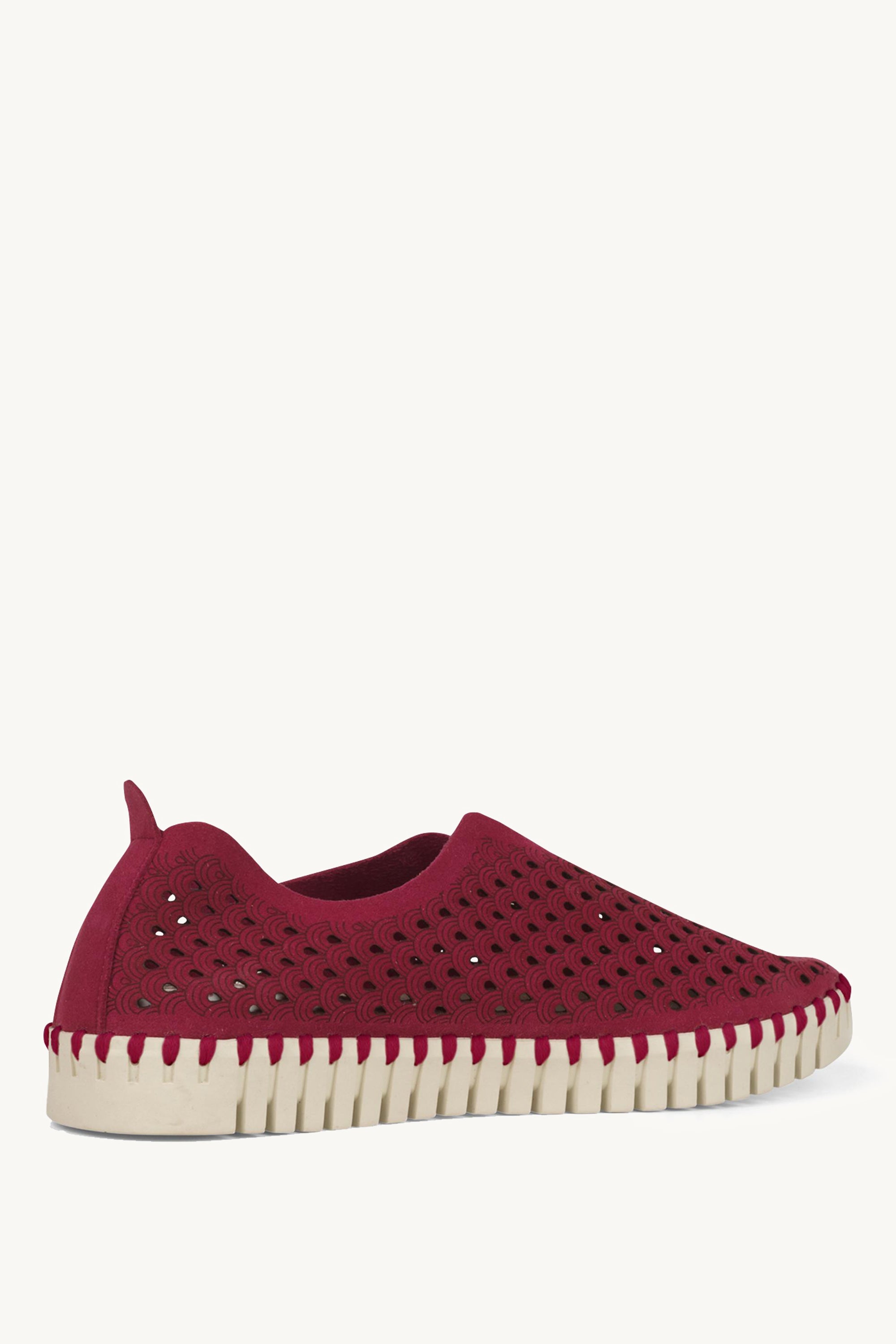 TULIP3275 CERISE