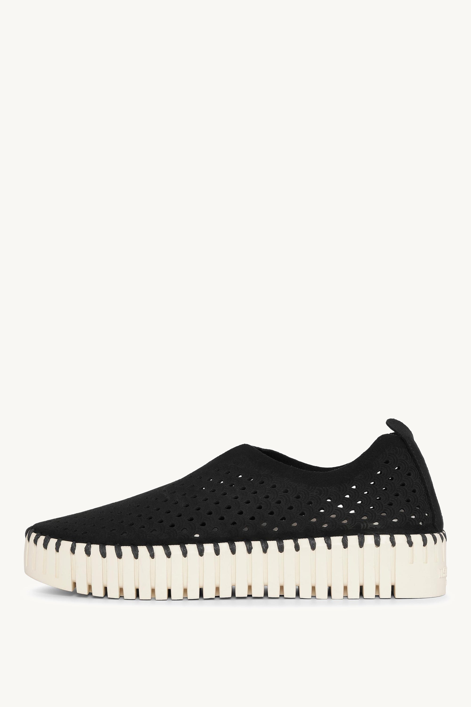 TULIP3373 BLACK