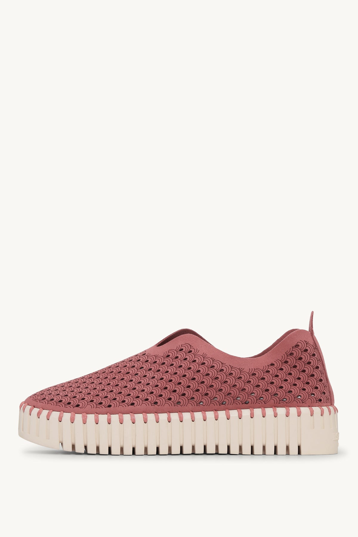 TULIP3373 ROUGE PEARLED IVORY