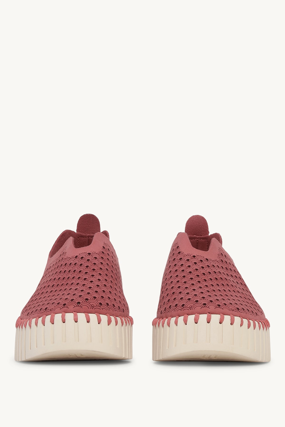 TULIP3373 ROUGE PEARLED IVORY