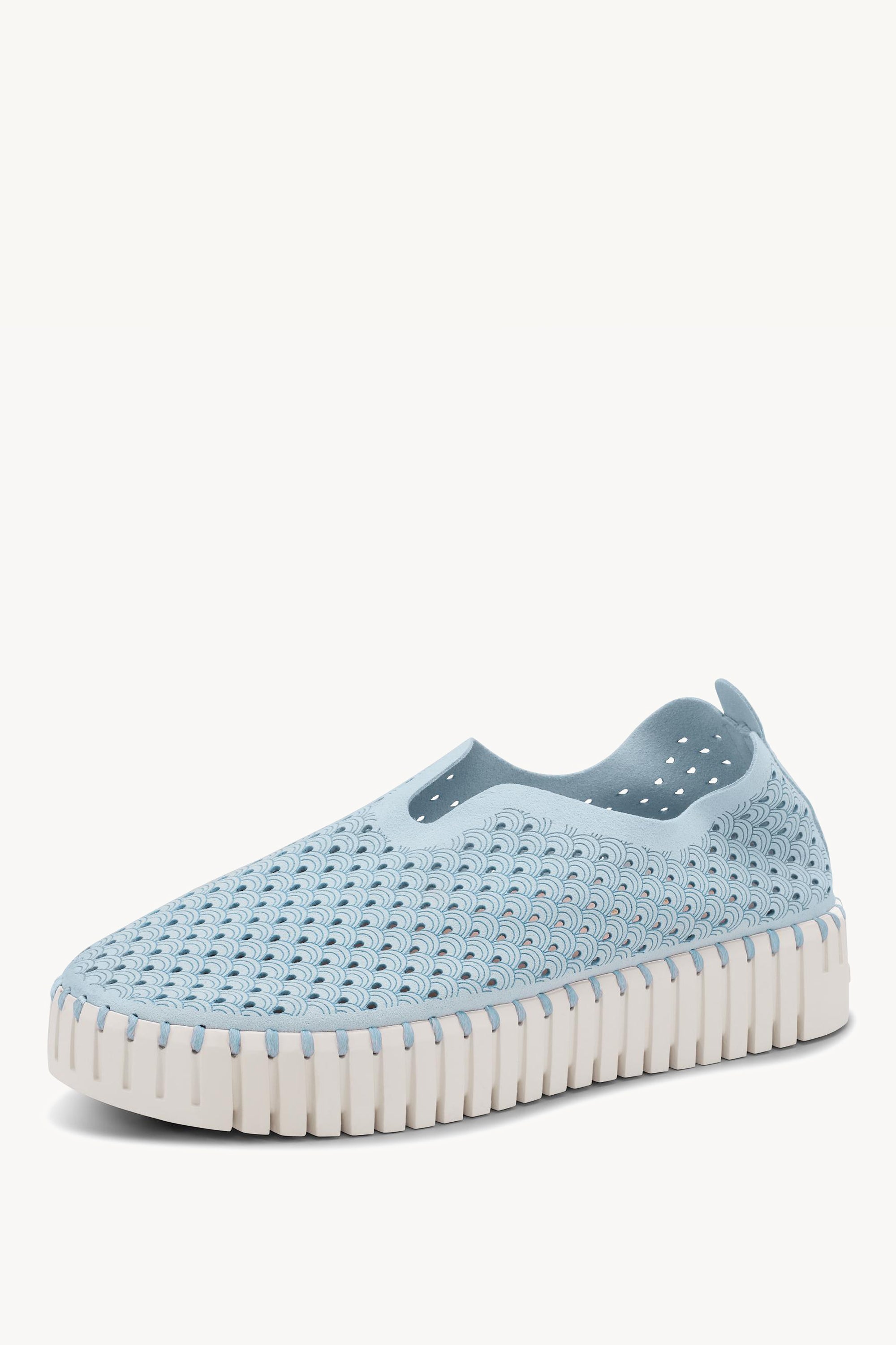 TULIP3373 ASH BLUE