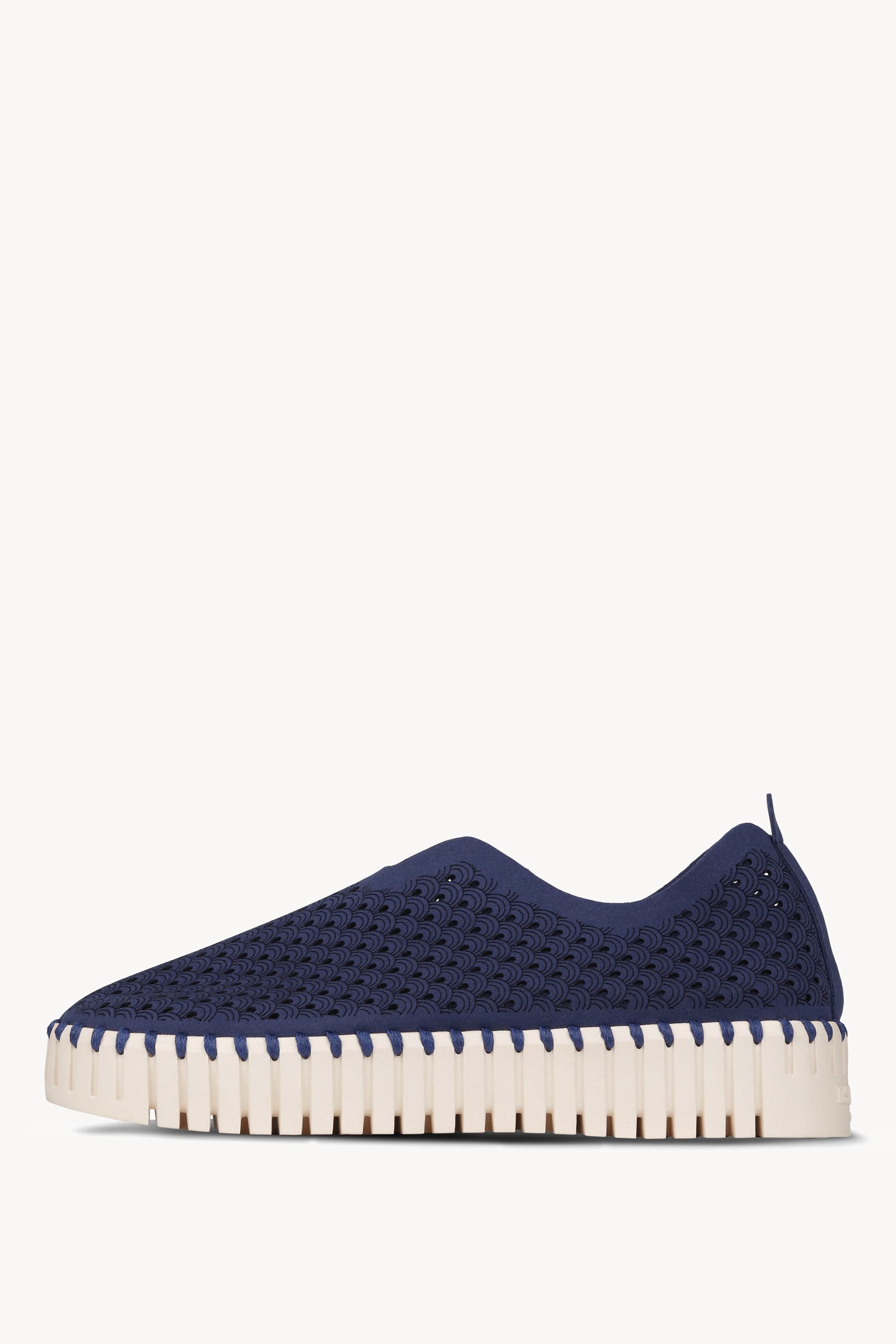TULIP3373 ESTATE BLUE