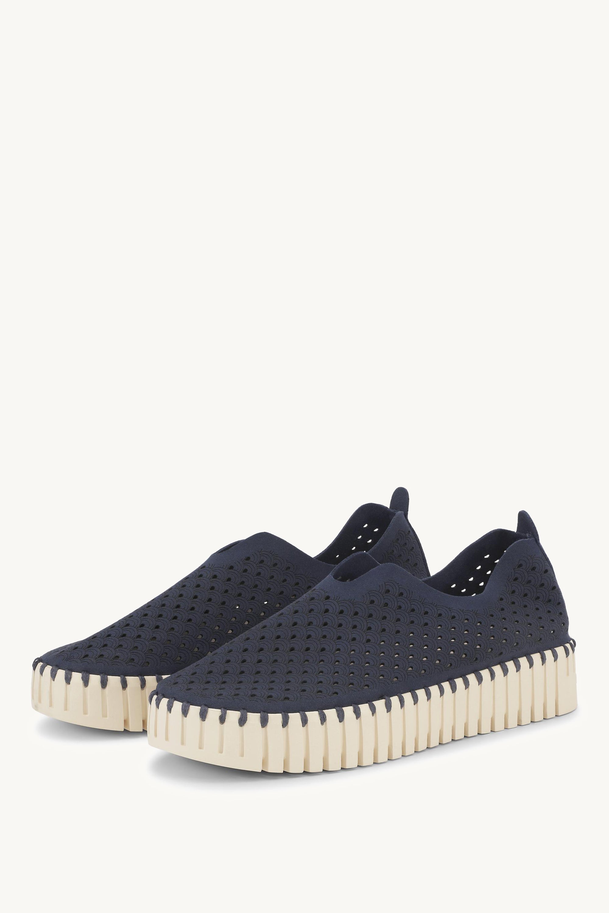 TULIP3373 DARK INDIGO