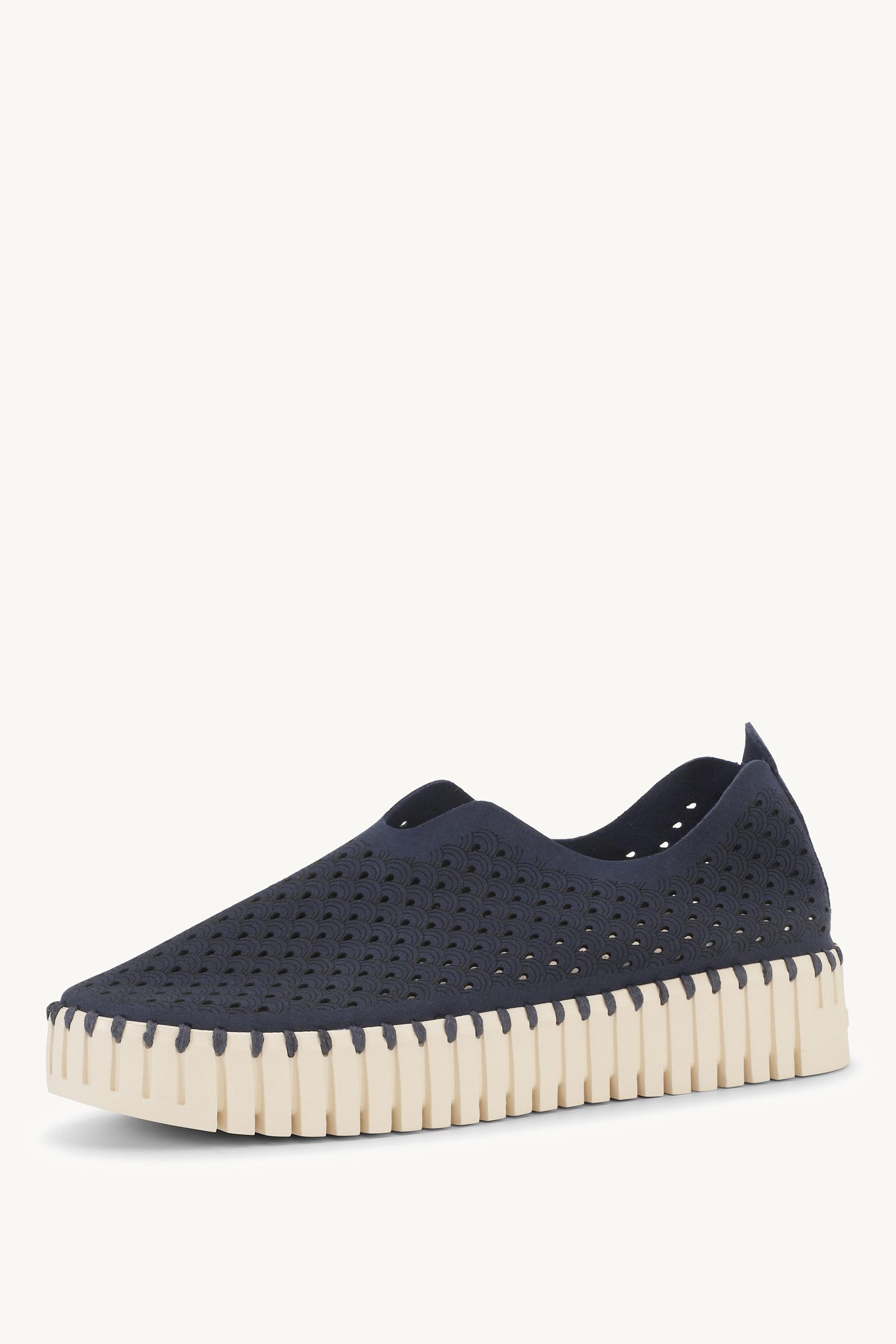 TULIP3373 DARK INDIGO