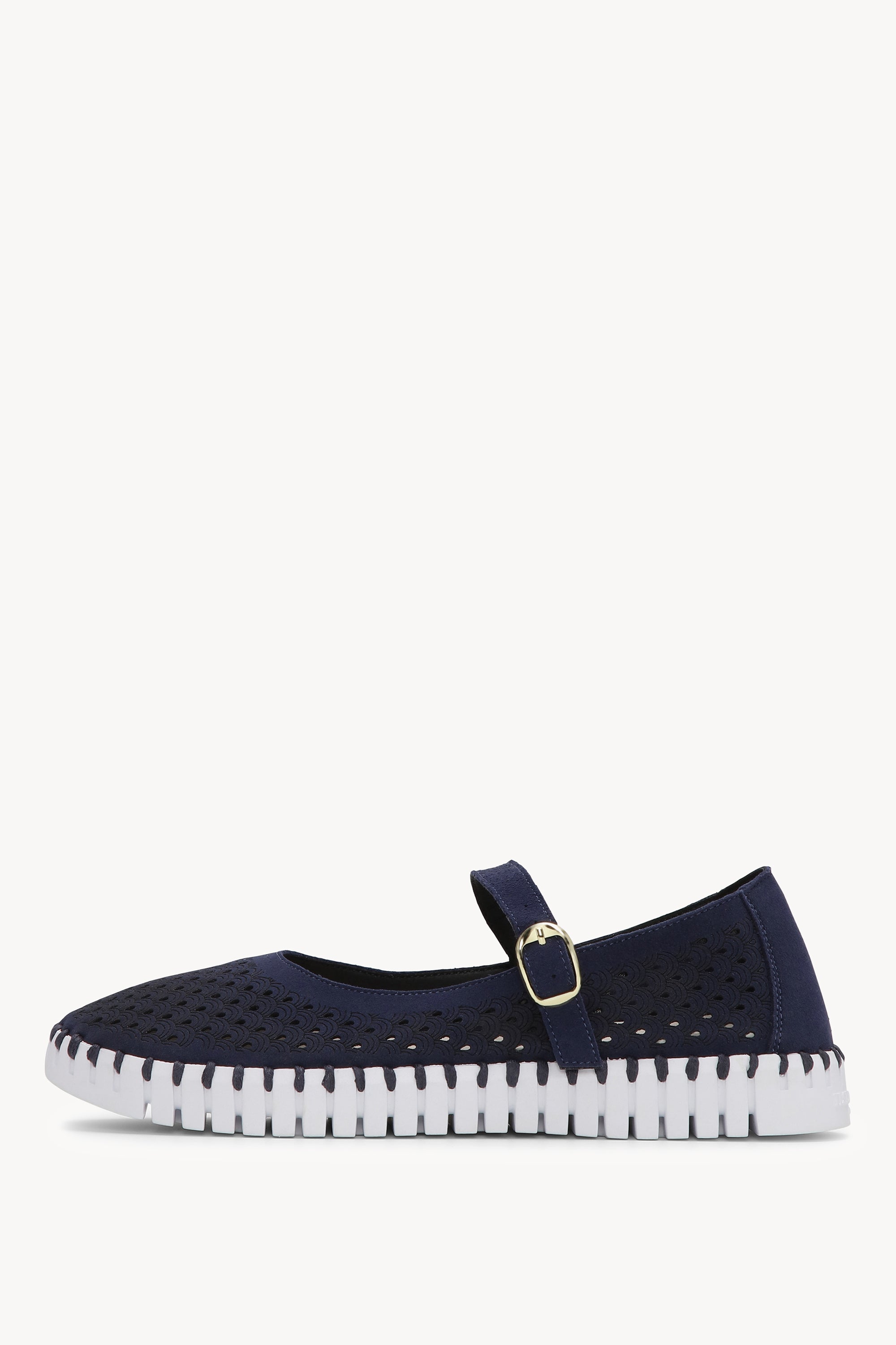 TULIP3476 DARK INDIGO WHITE