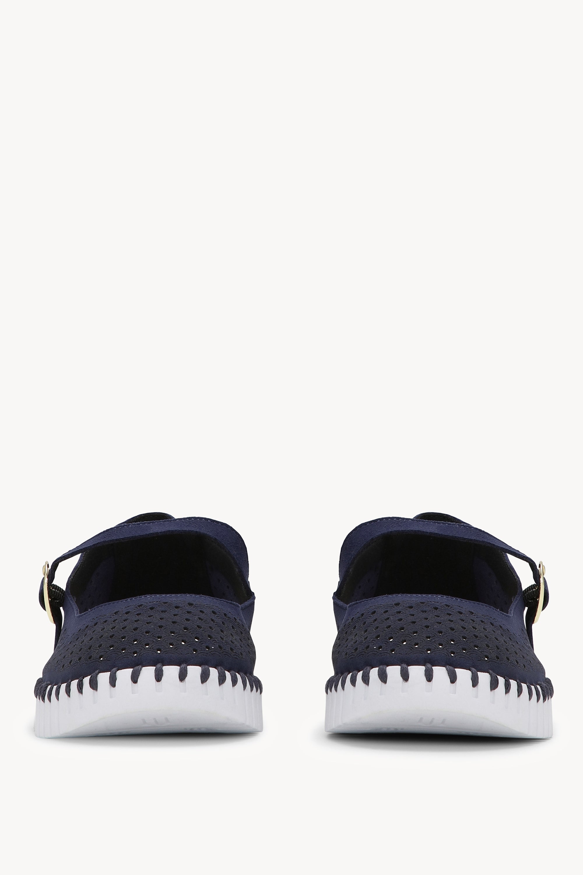 TULIP3476 DARK INDIGO WHITE