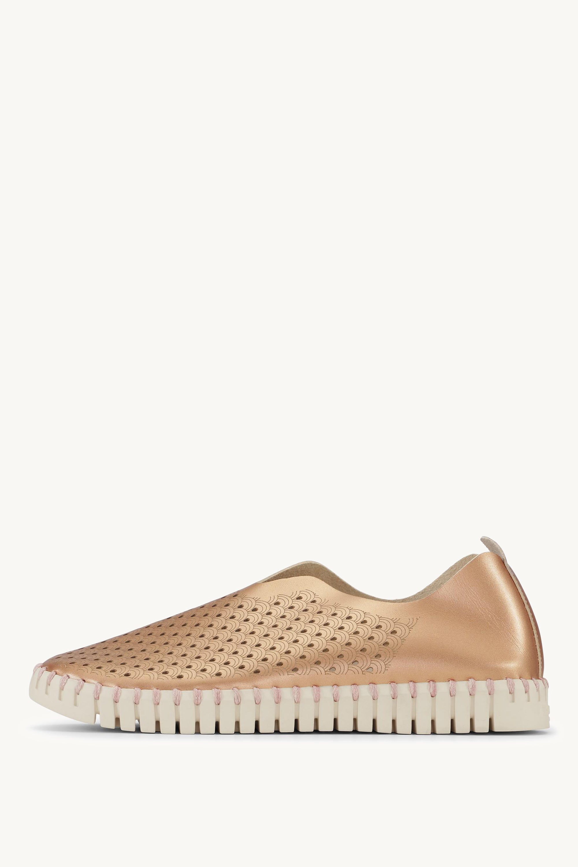 TULIP3576 ROSE GOLD