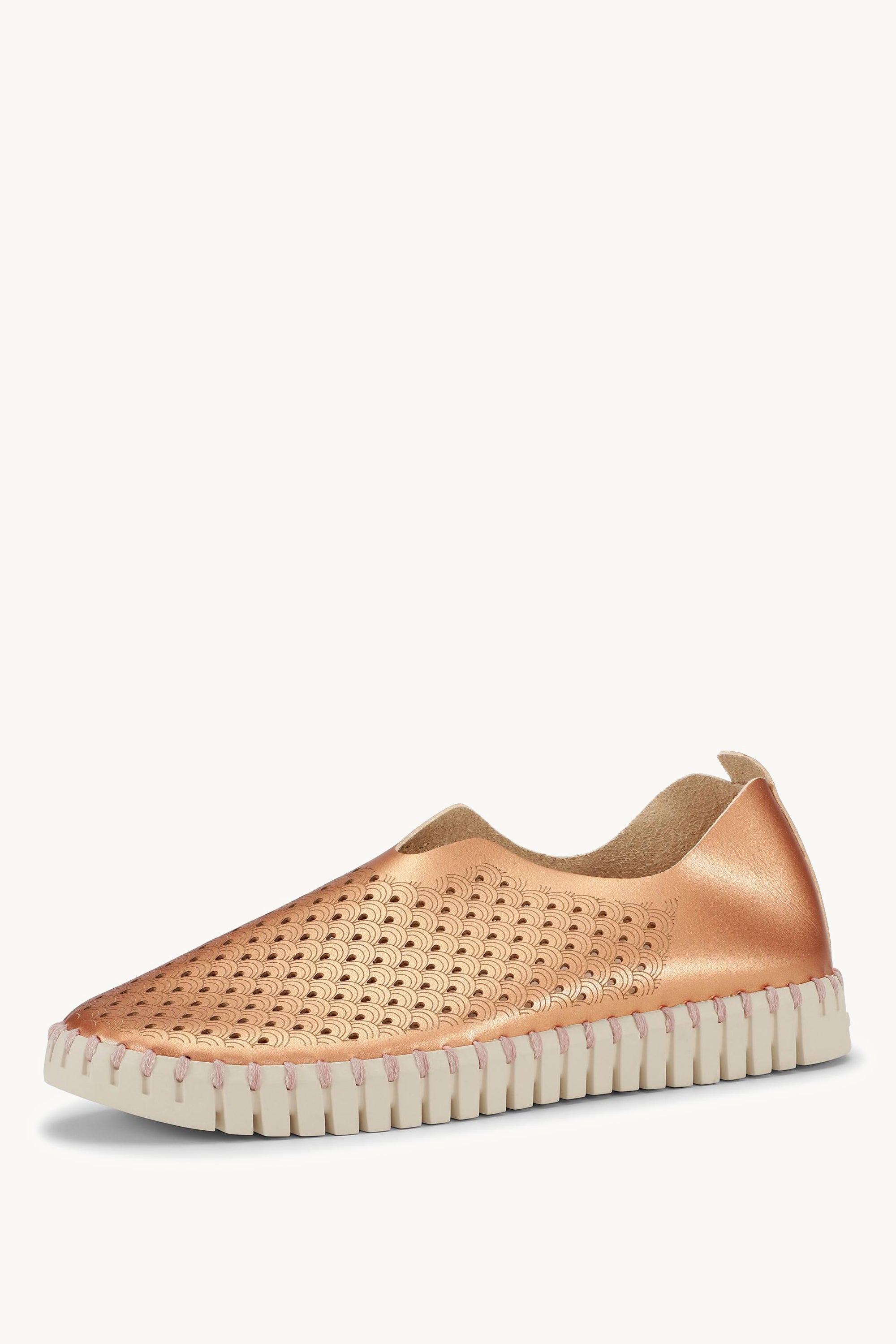 TULIP3576 ROSE GOLD