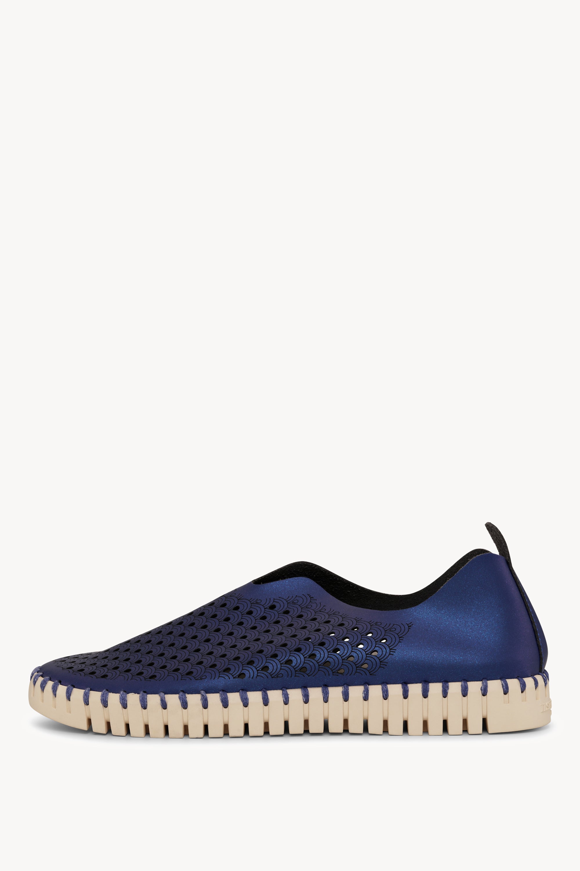 TULIP3576N BLUE WEB