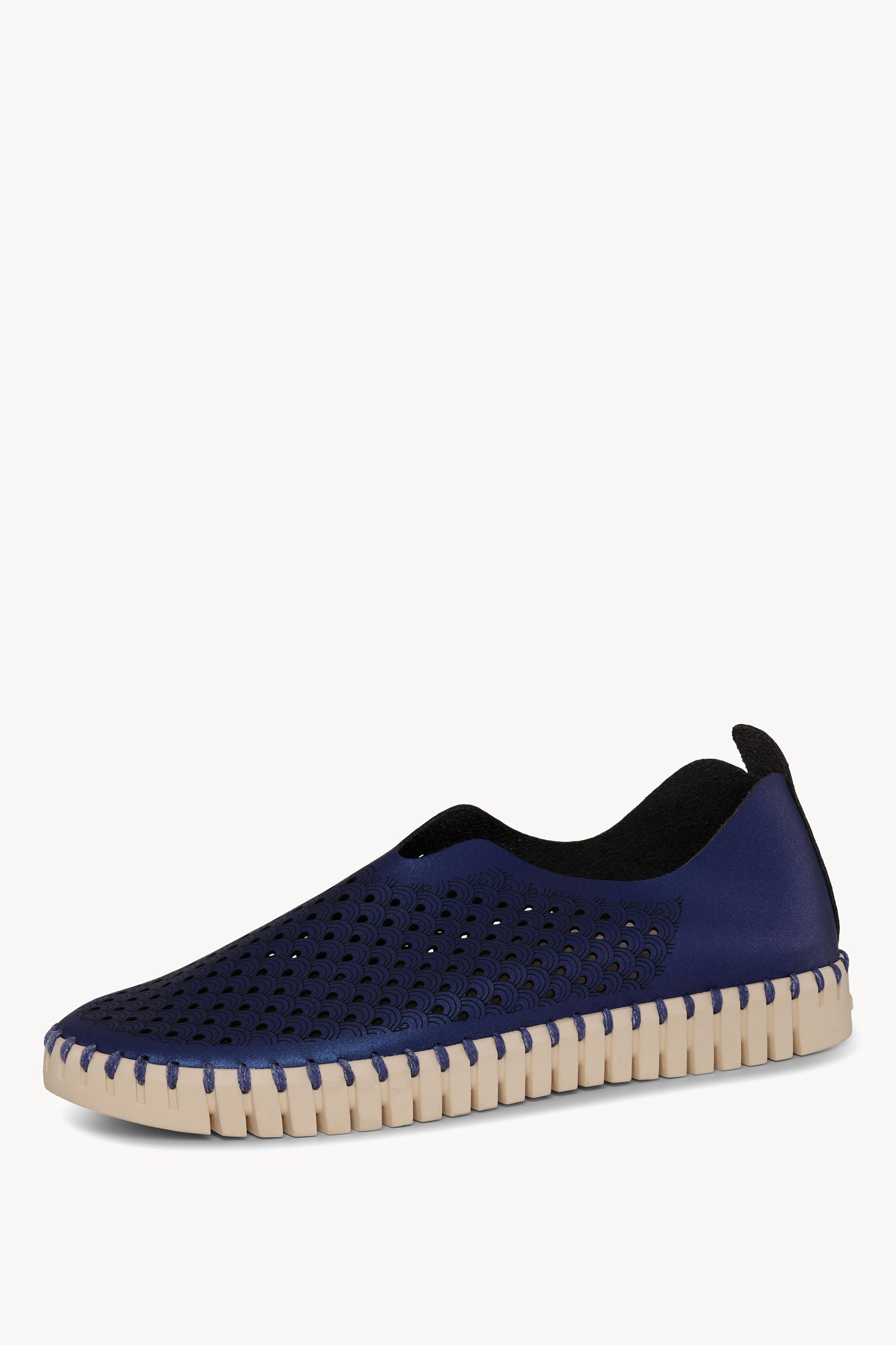 TULIP3576N BLUE WEB