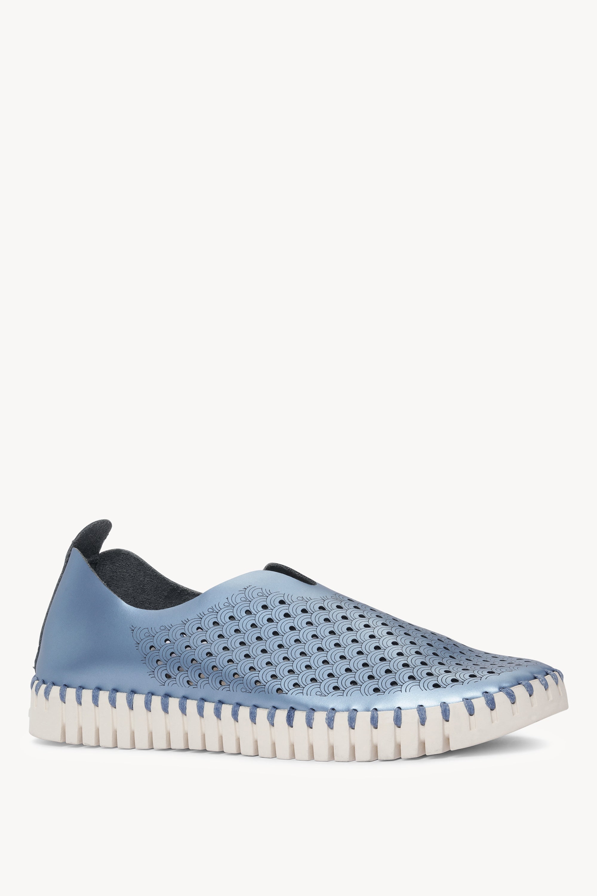 TULIP3576N METALLIC BLUE