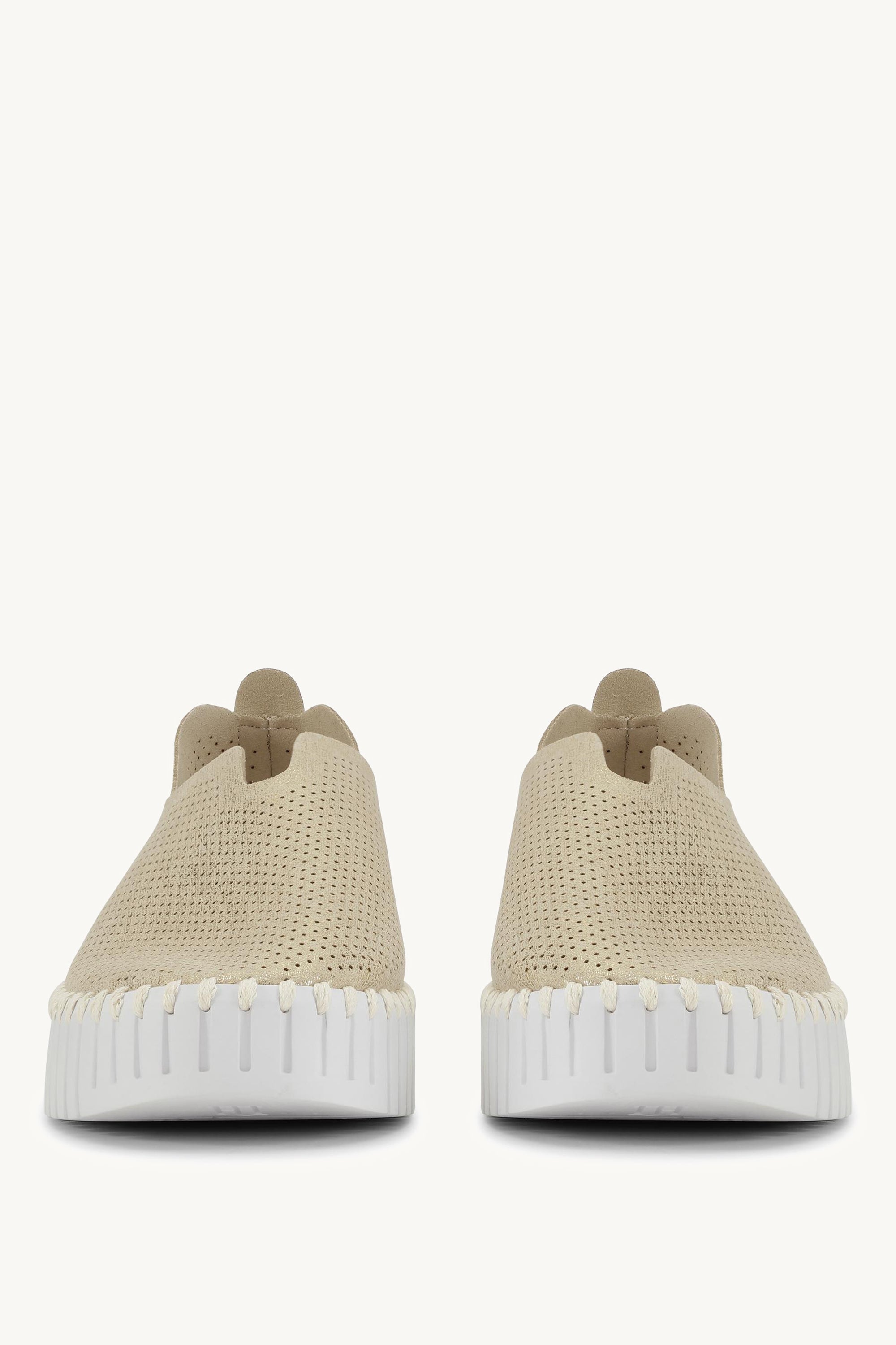TULIP3577 PLATIN WHITE
