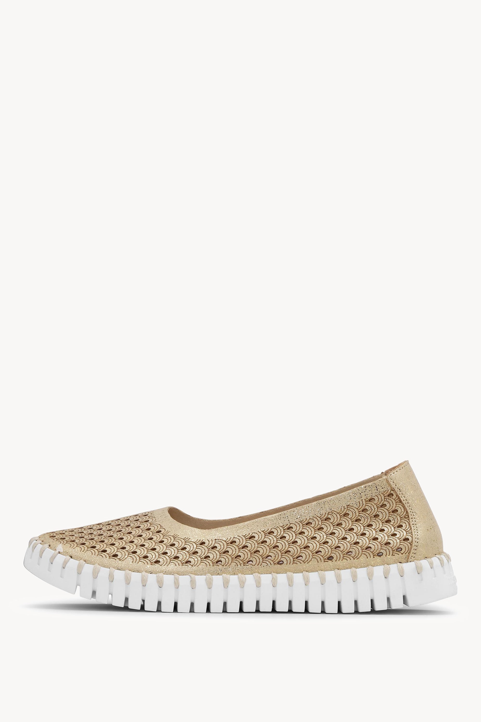 TULIP3578 PLATIN WHITE