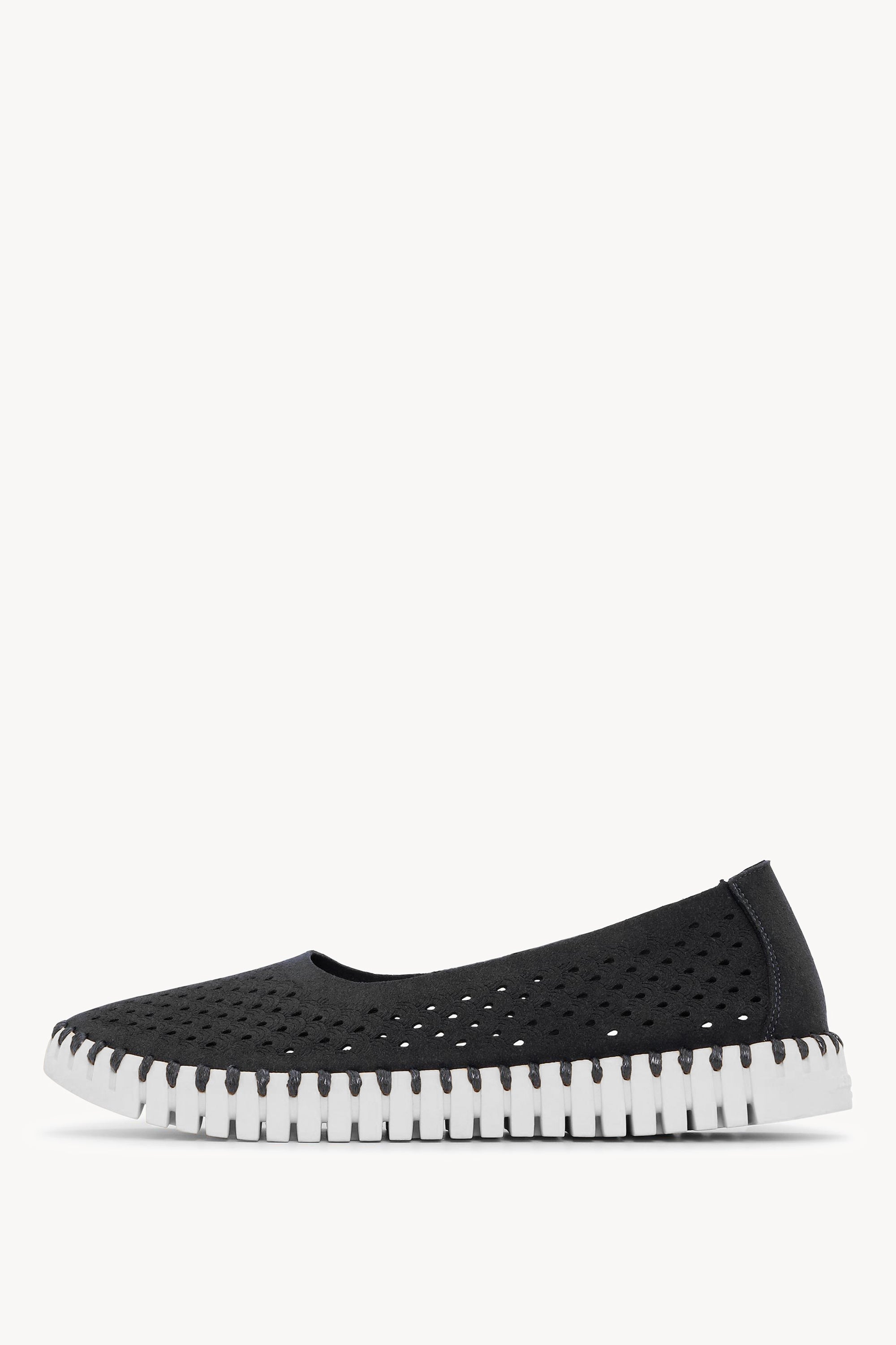 TULIP3579 BLACK WHITE