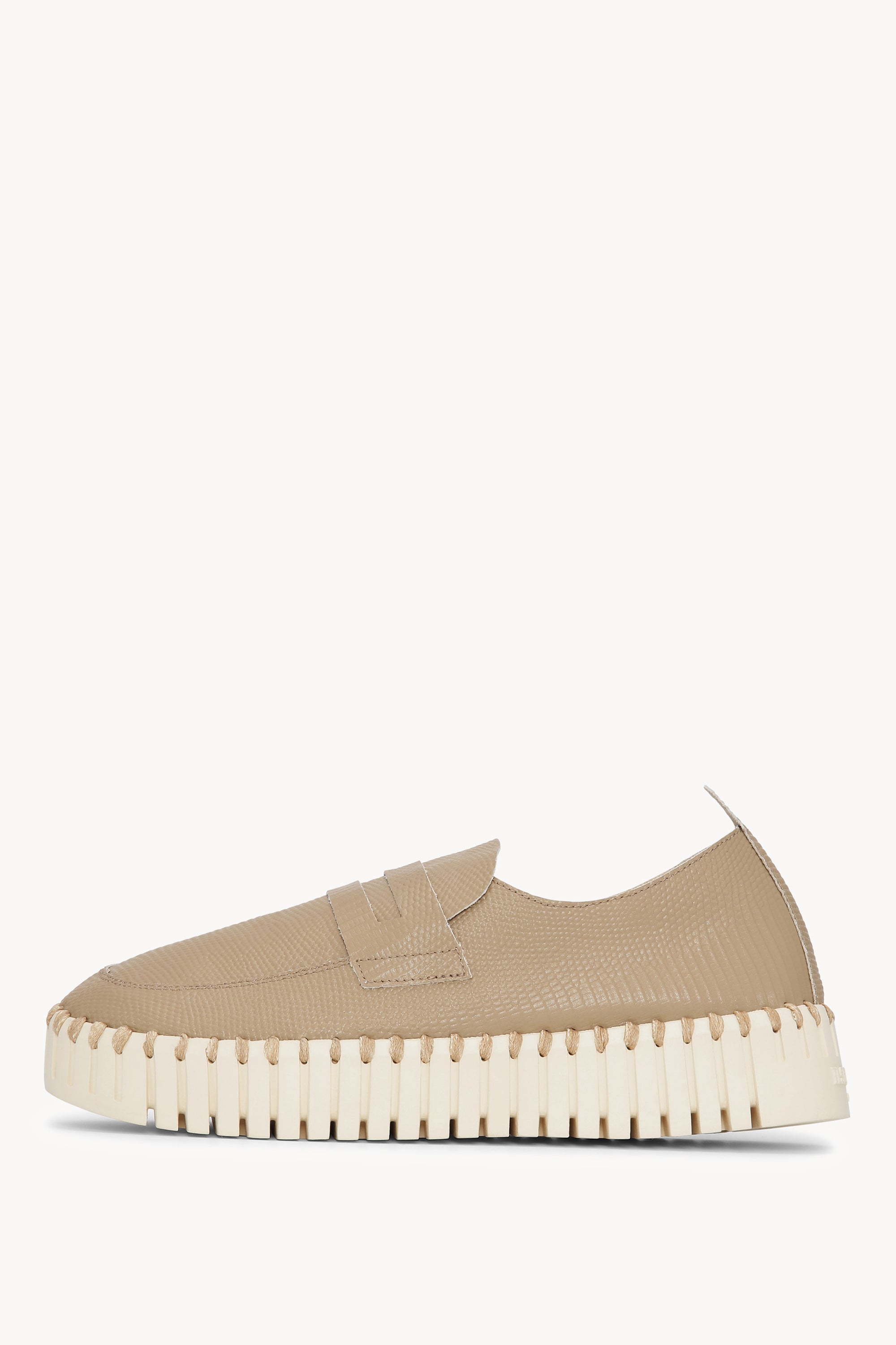TULIP3867 WHEAT