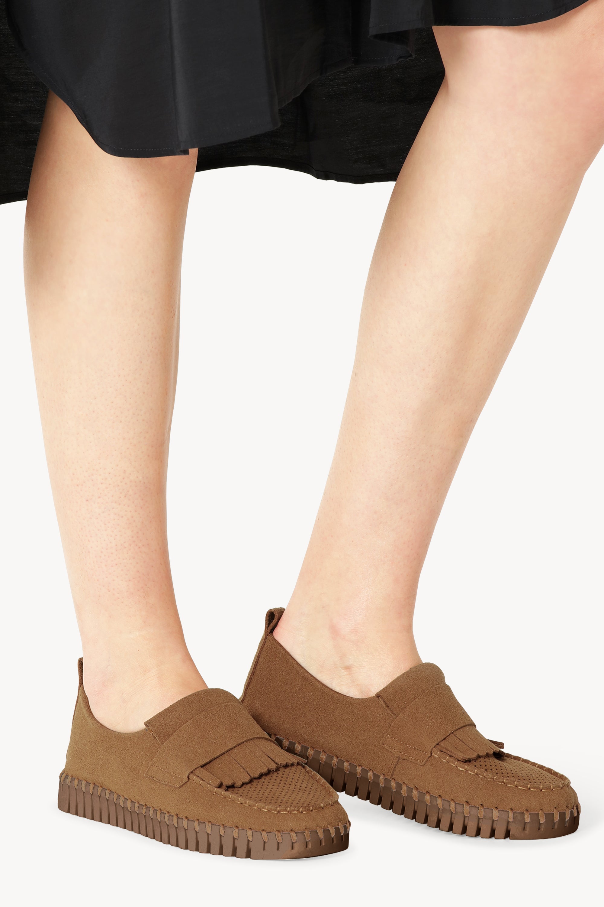 TULIP3888 CASHEW CASHEW